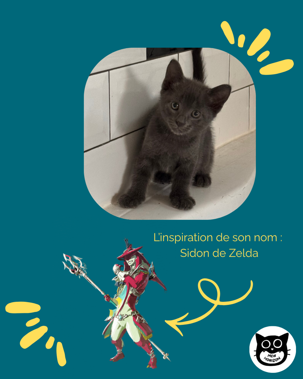 Adoption Sidon