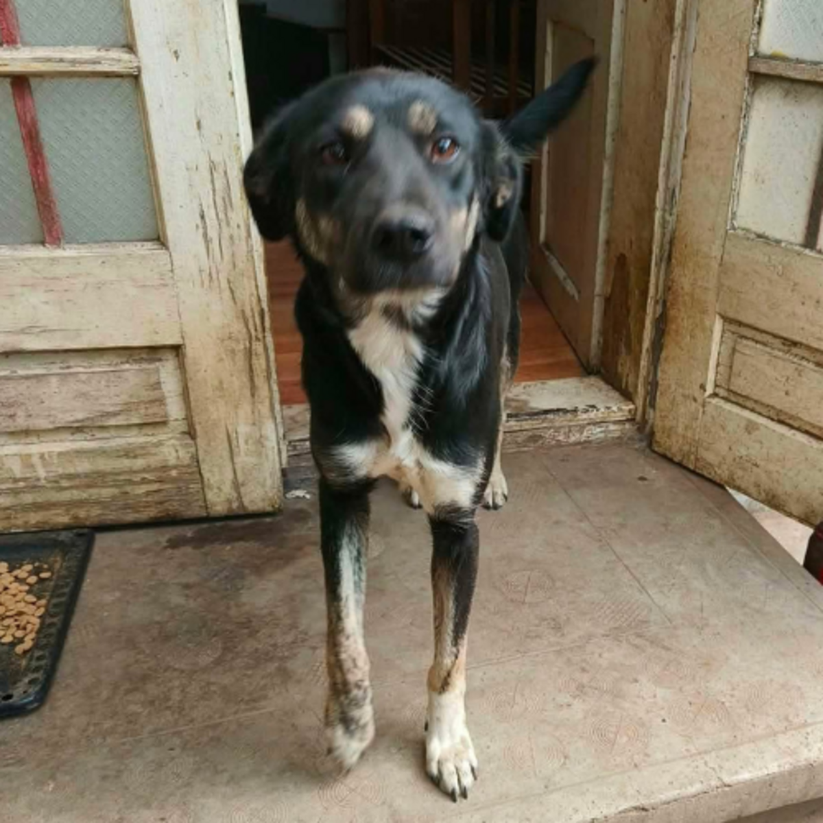 Adoption Kara