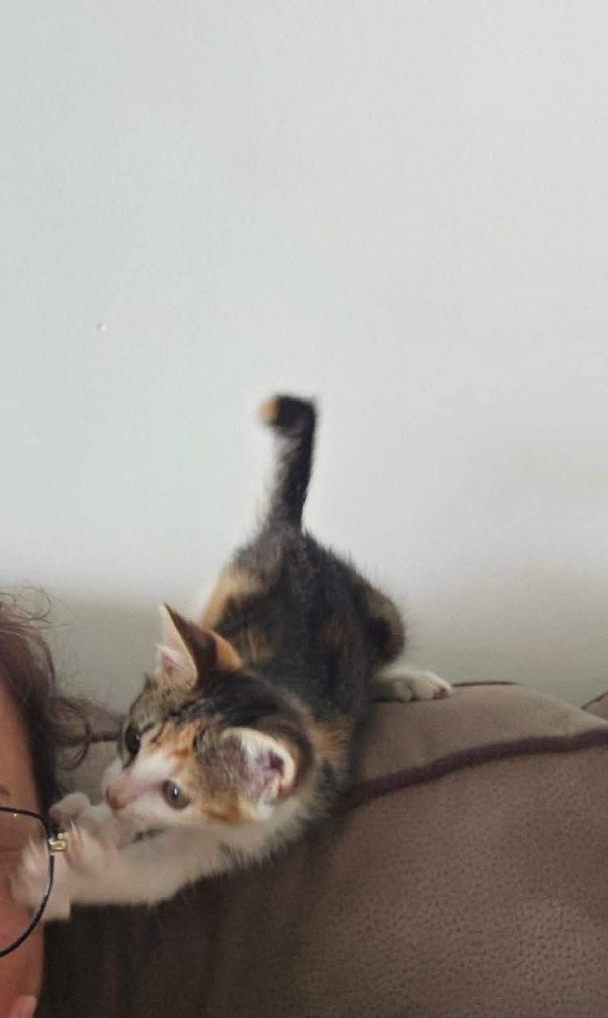Adoption Madi