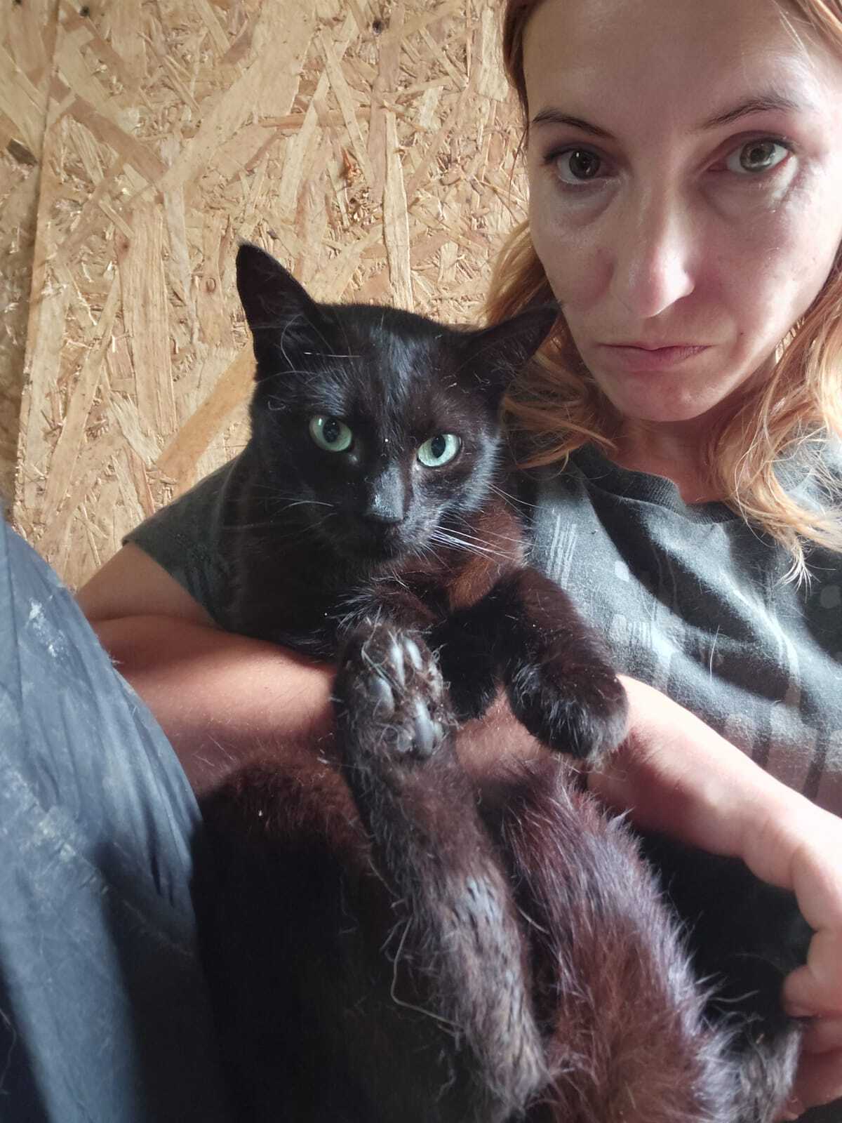 Adoption Zach