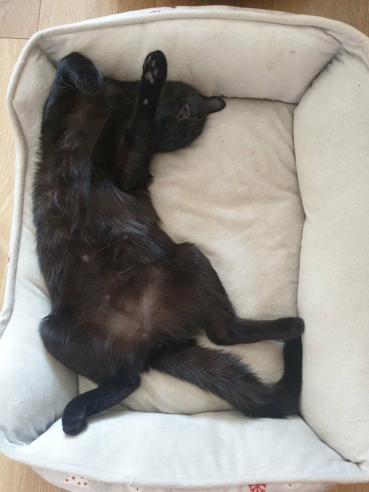Adoption Marie-Oceane 