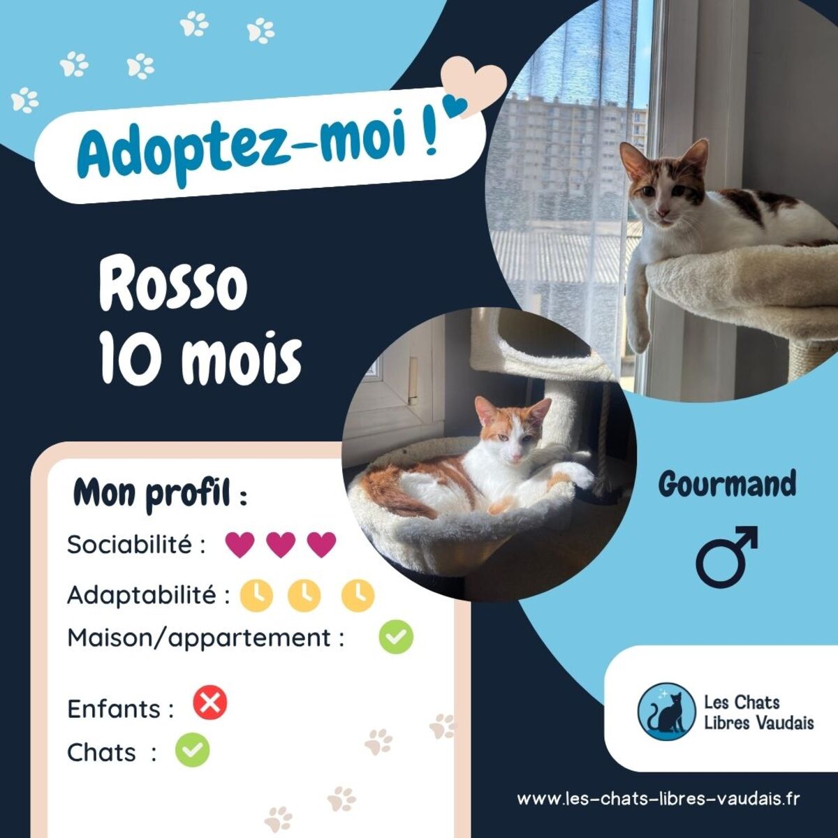 Adoption Rosso