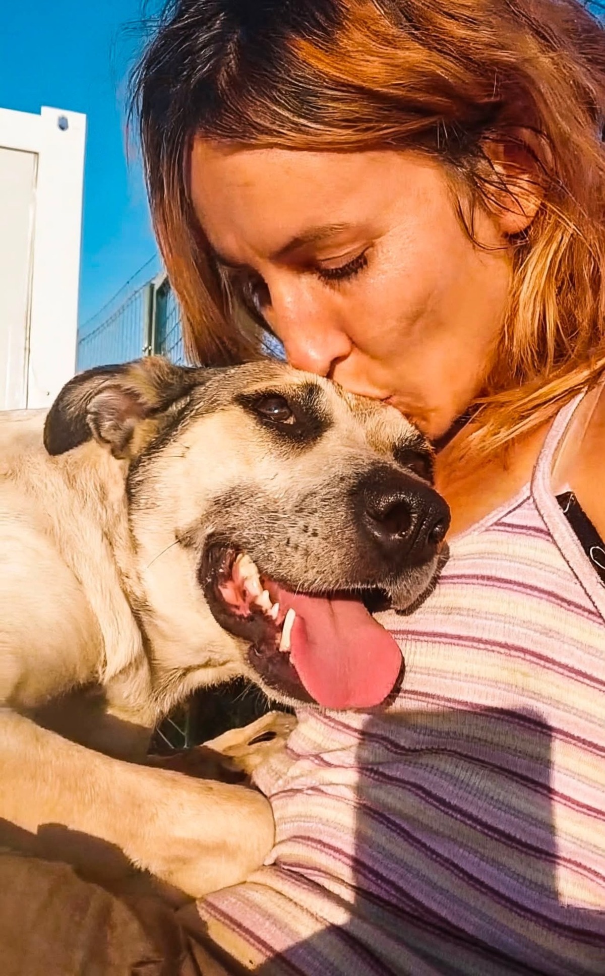 Adoption Hailey