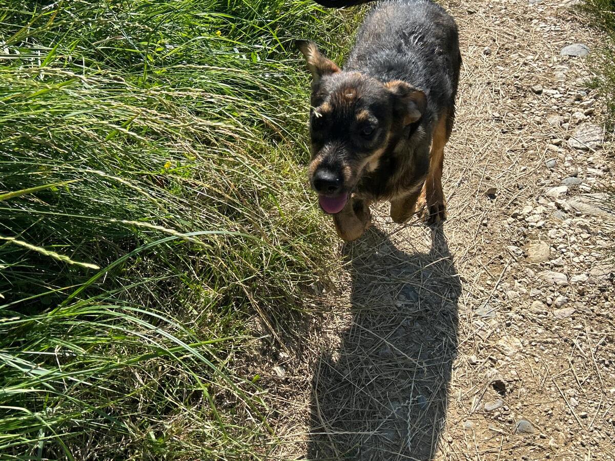 Adoption Leni