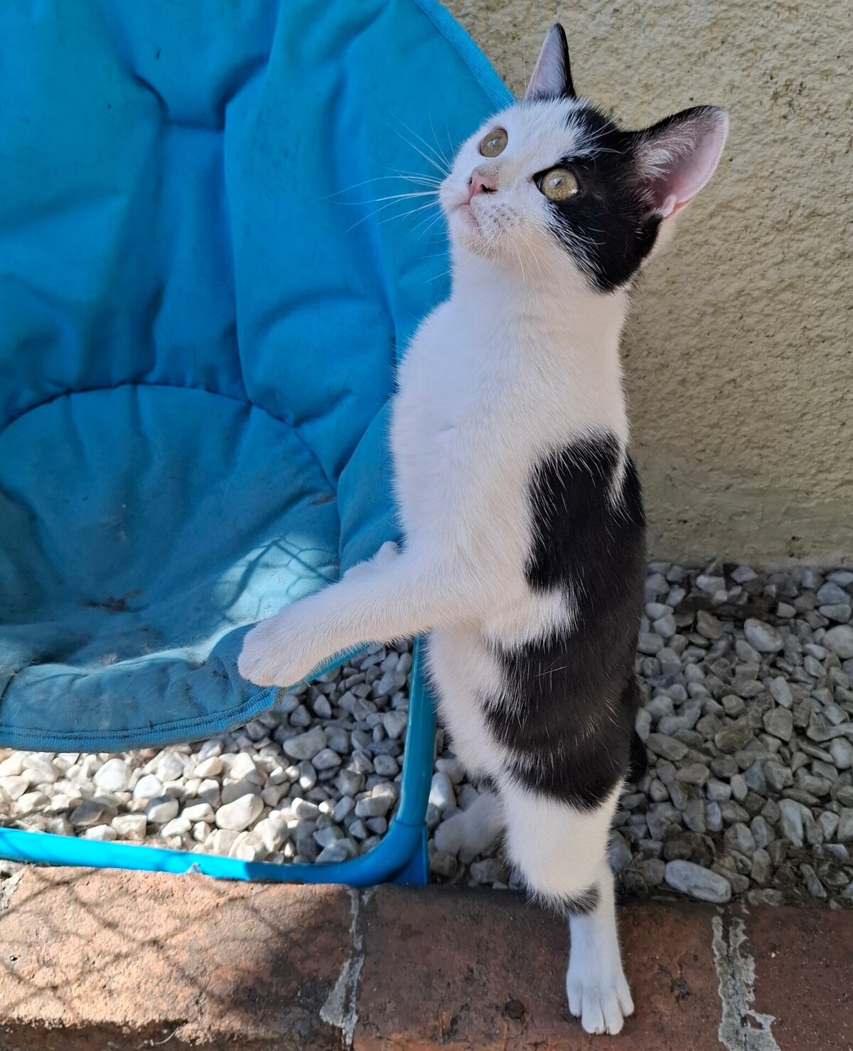 Adoption BYZANCE