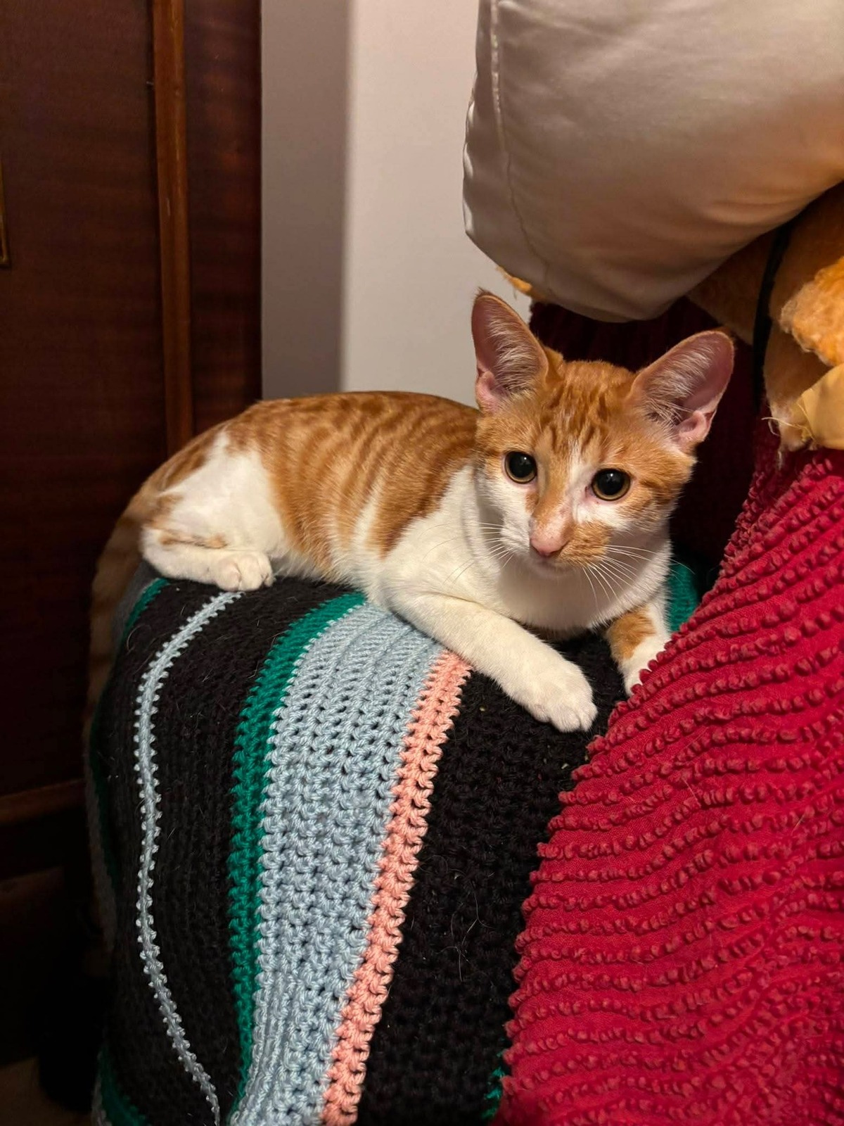 Adoption Kwet