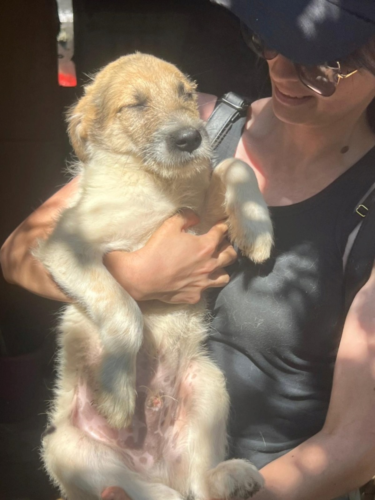 Adoption Sanry