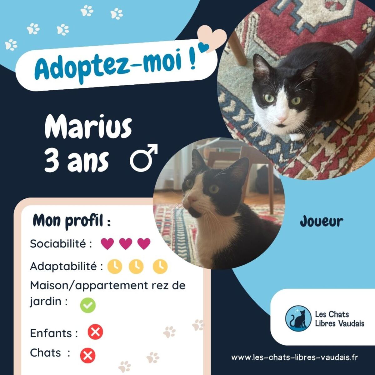 Adoption Marius