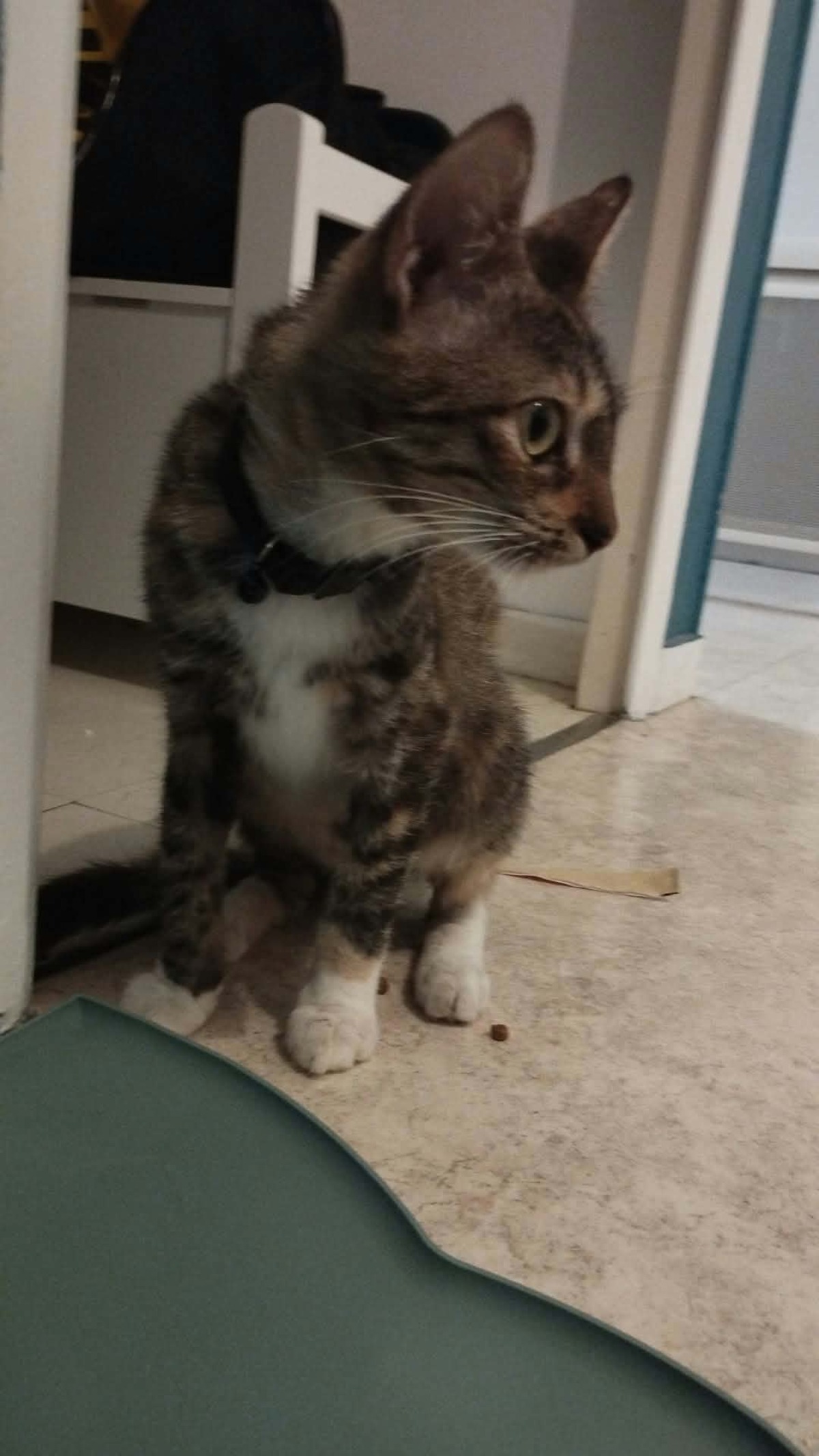 Adoption Lilith