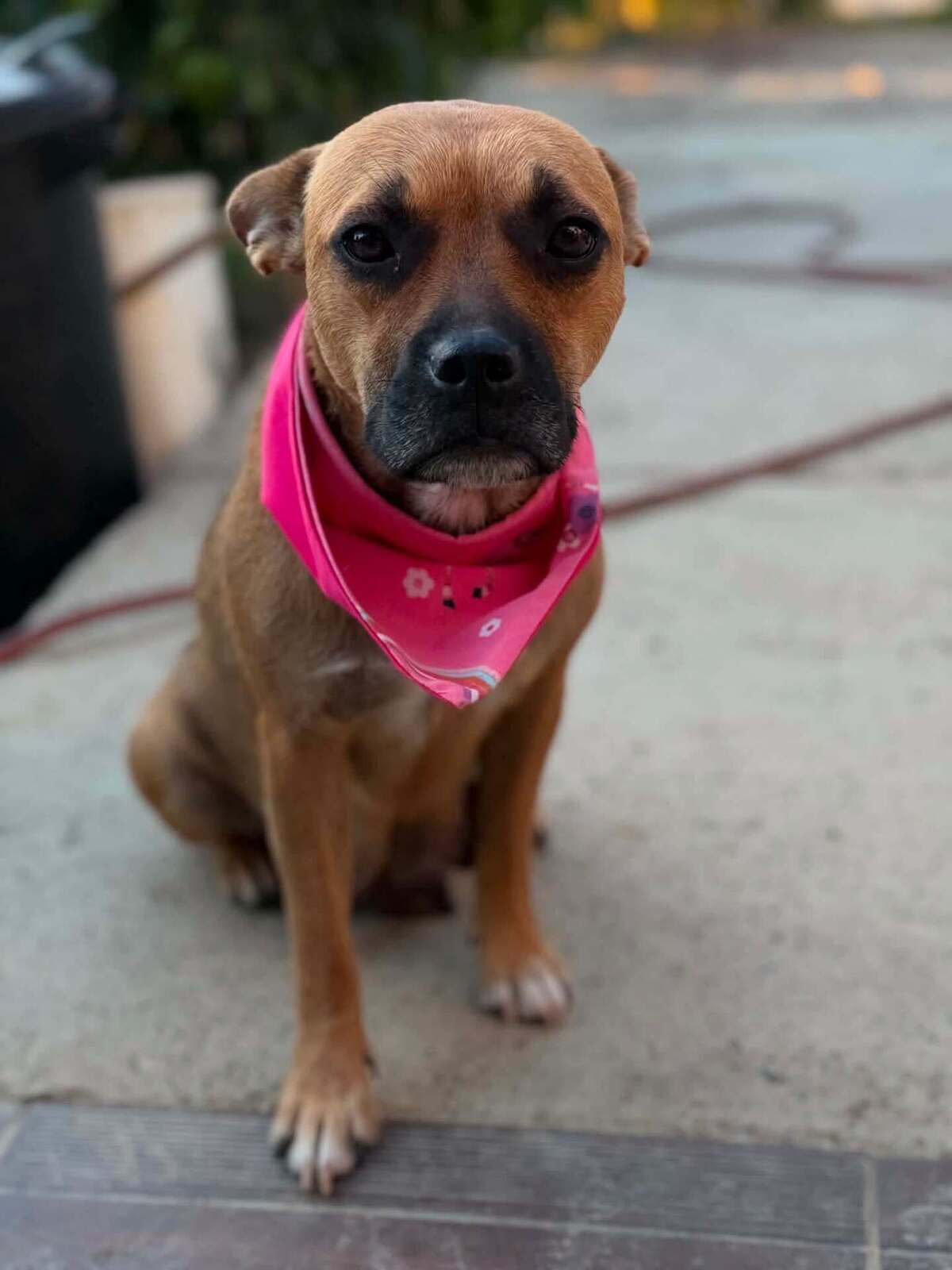 Adoption Madeleine