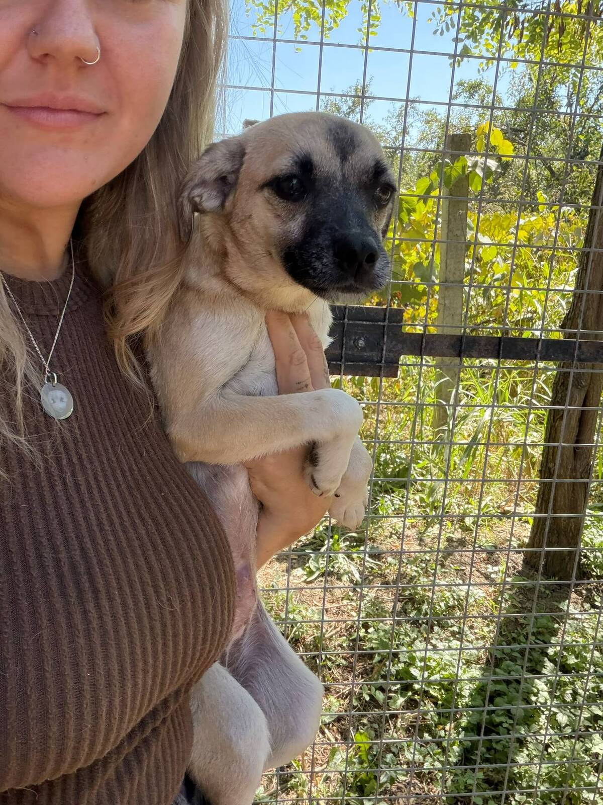 Adoption Gaïa