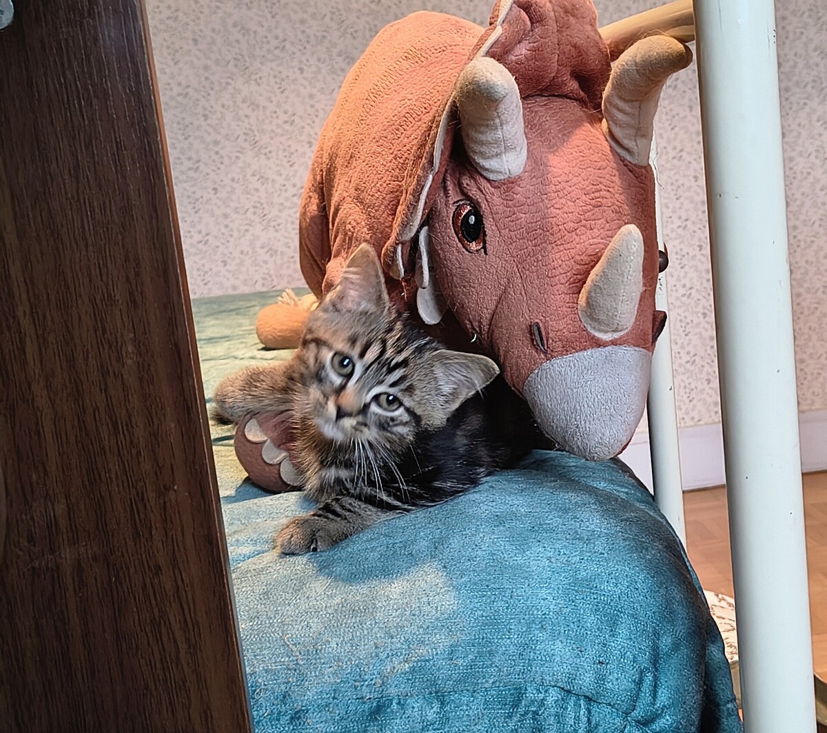 Adoption Elias