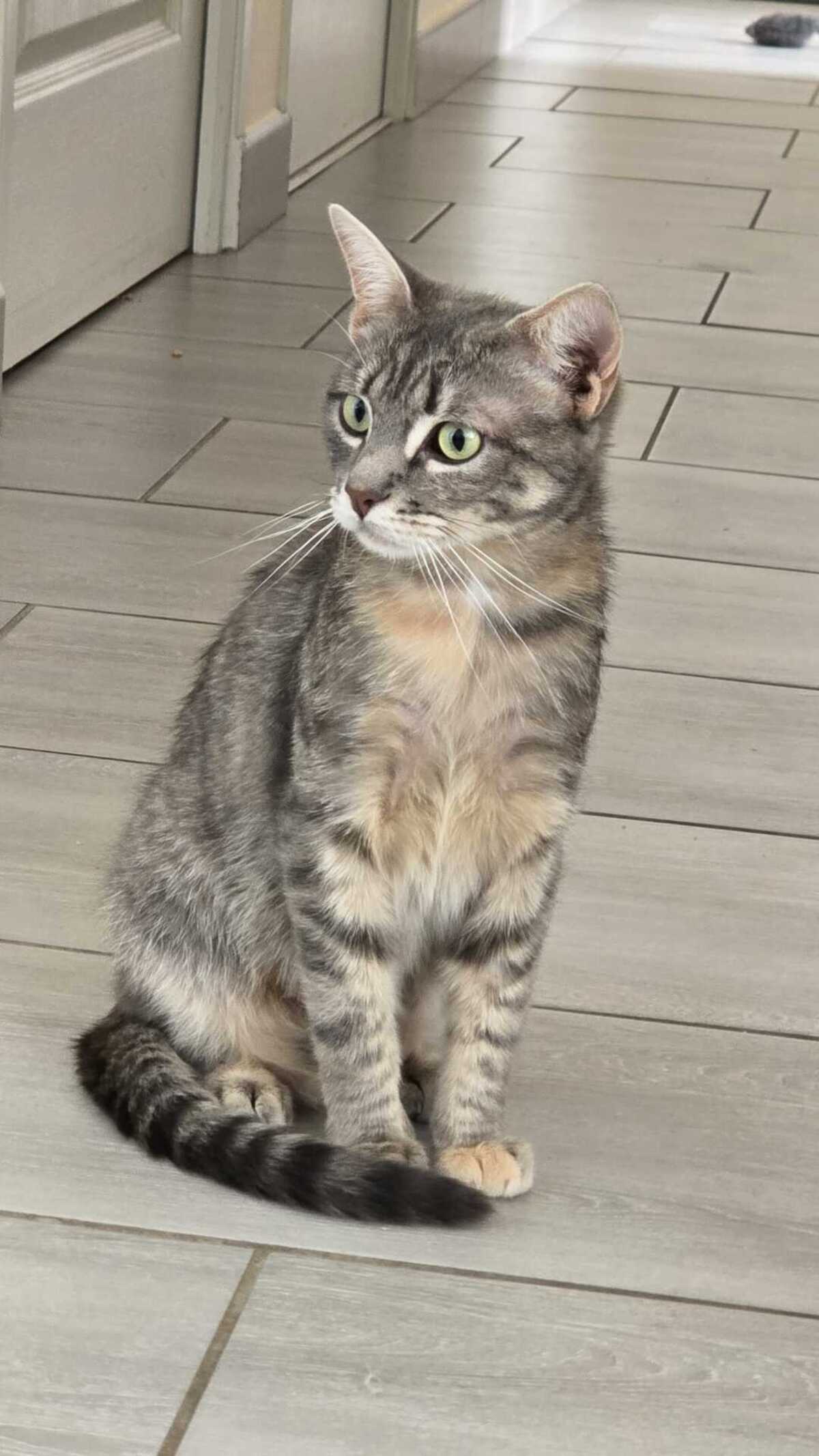Adoption Raya