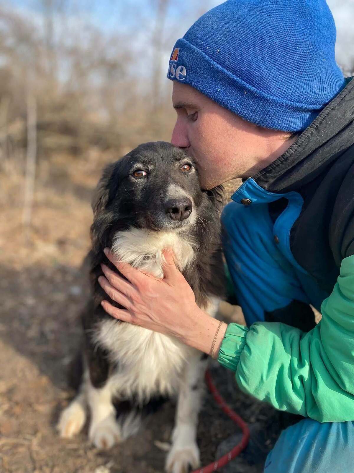 Adoption Biba