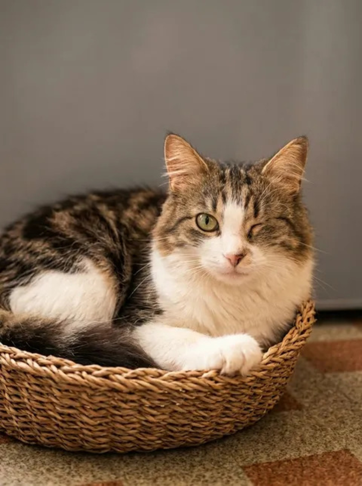 Adoption Diva