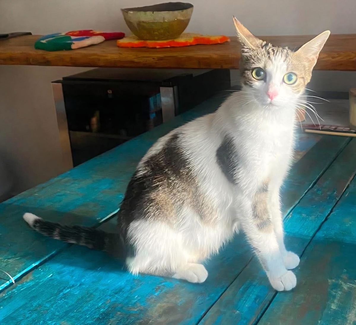 Adoption BADIANE