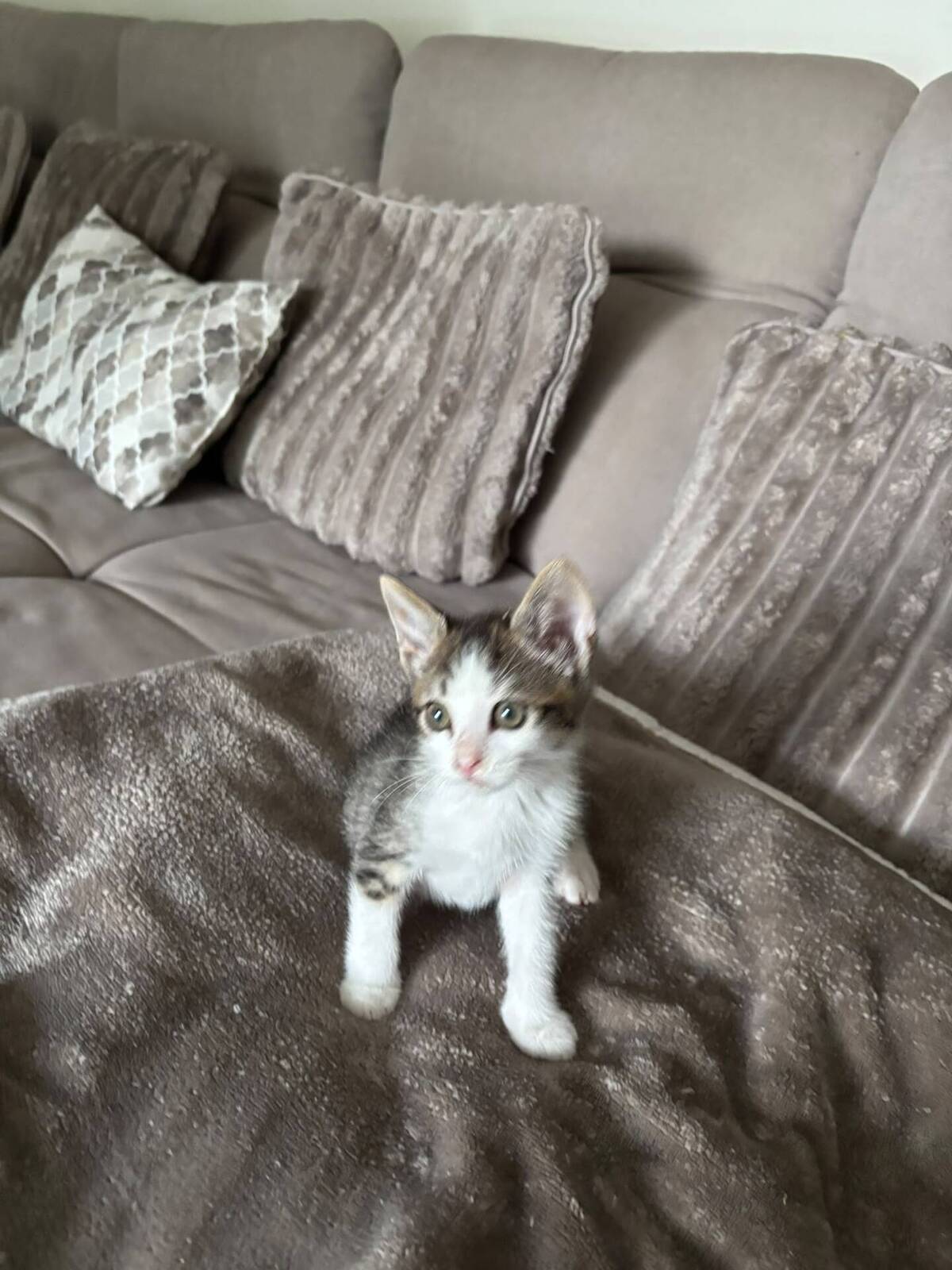 Adoption OSLO et BALI