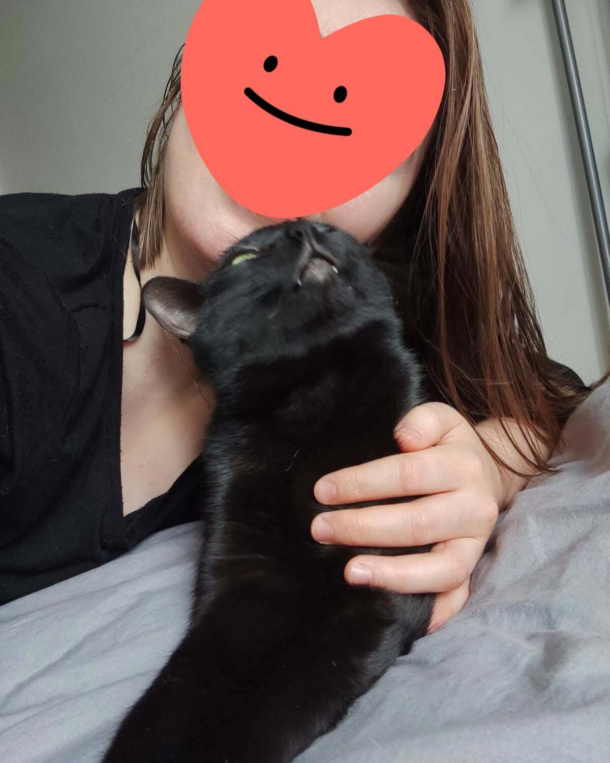 Adoption Pirate