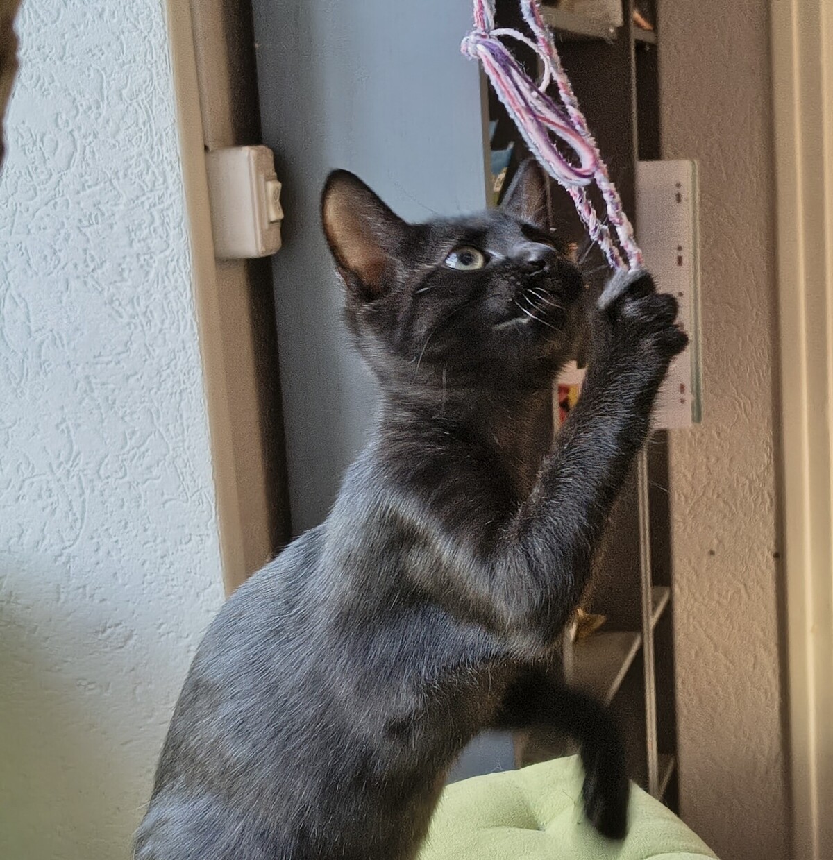 Adoption Beauté