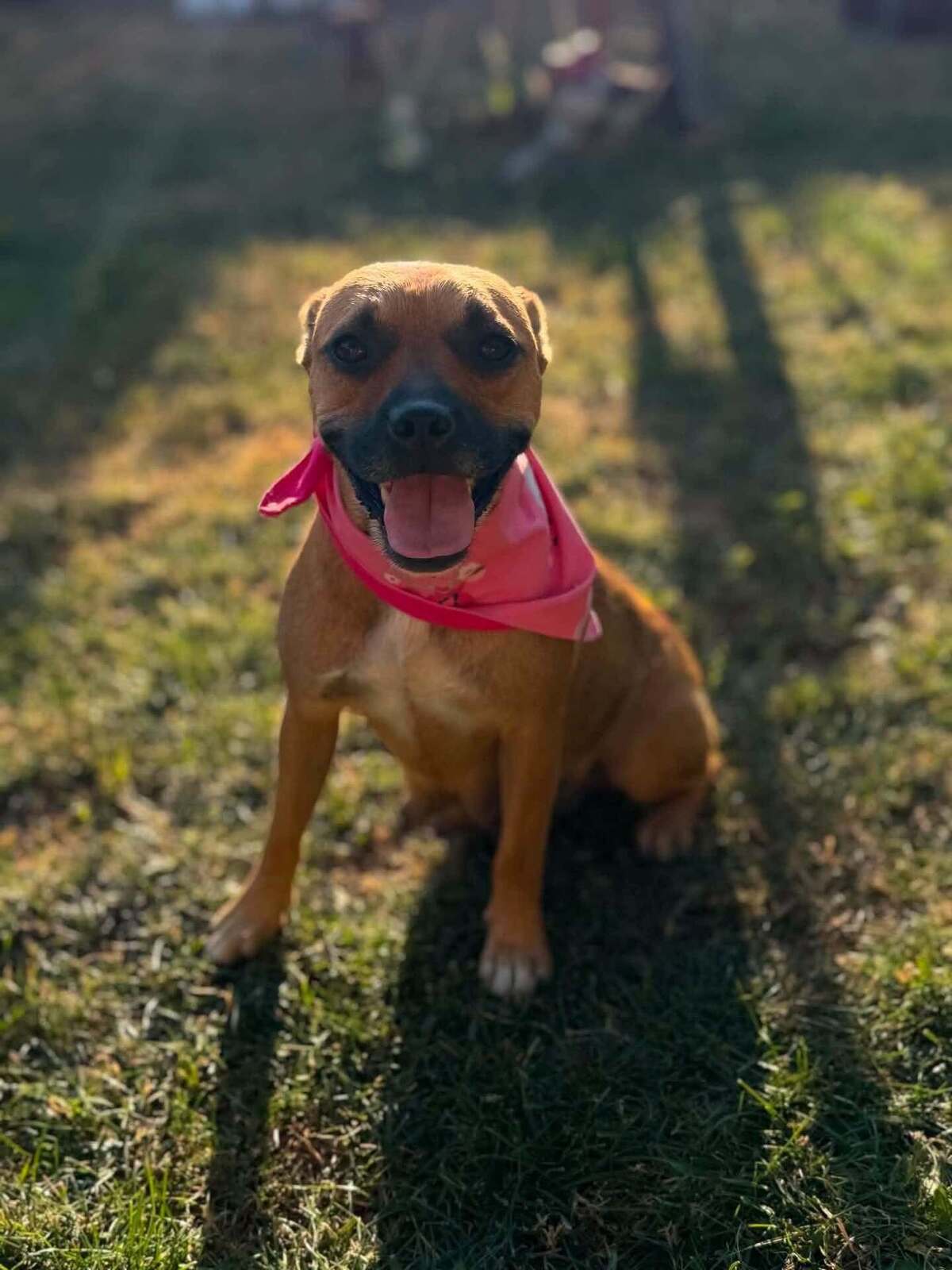 Adoption Madeleine