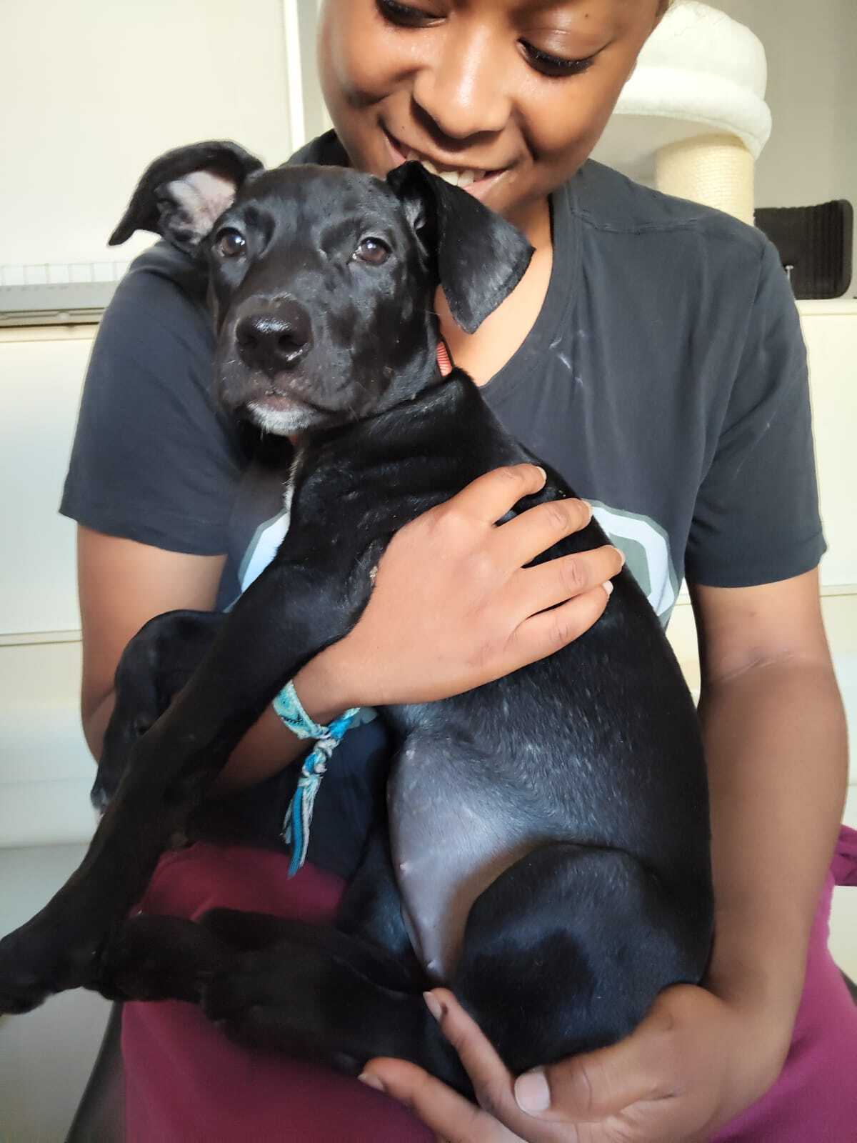 Adoption Mimi