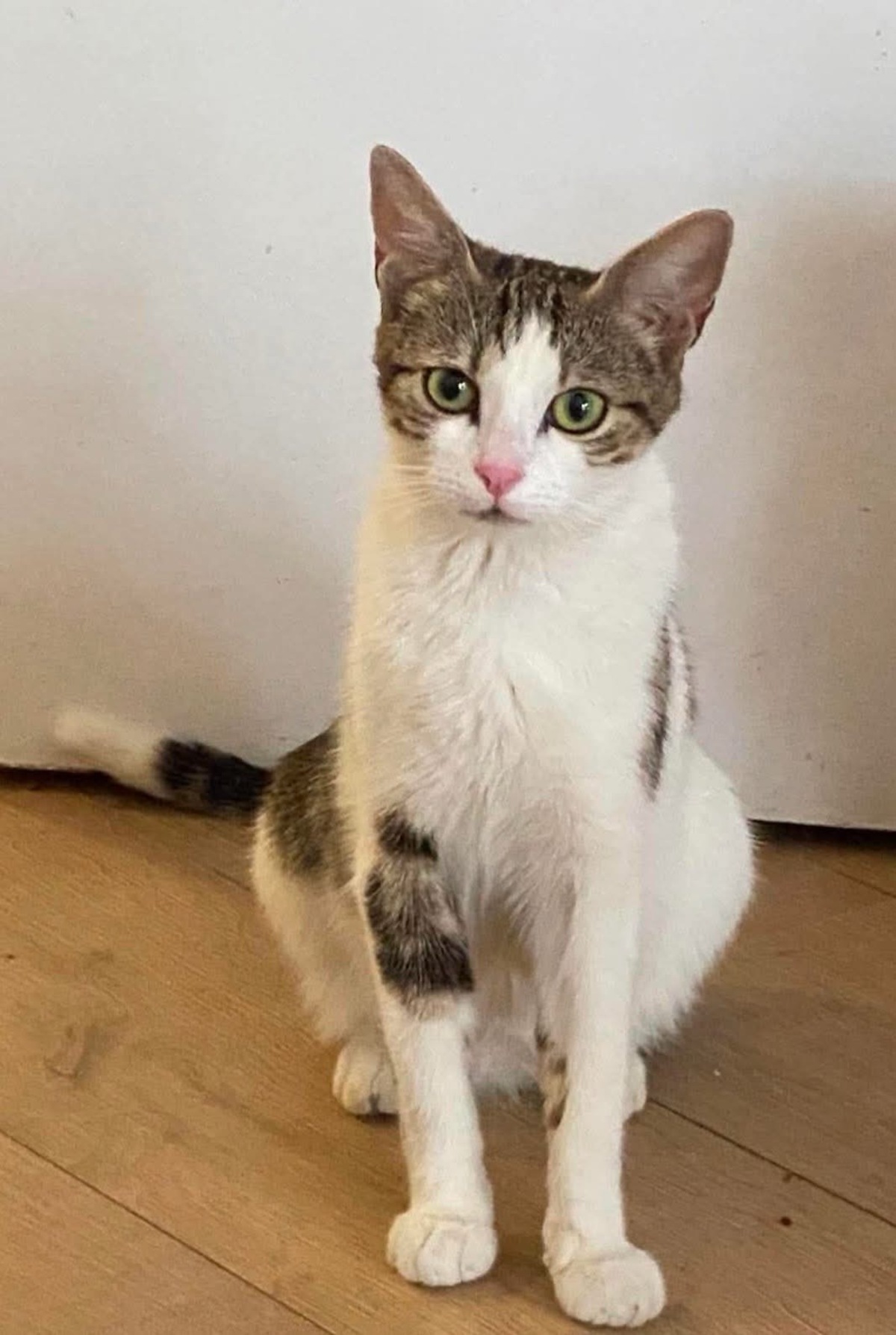 Adoption BADIANE