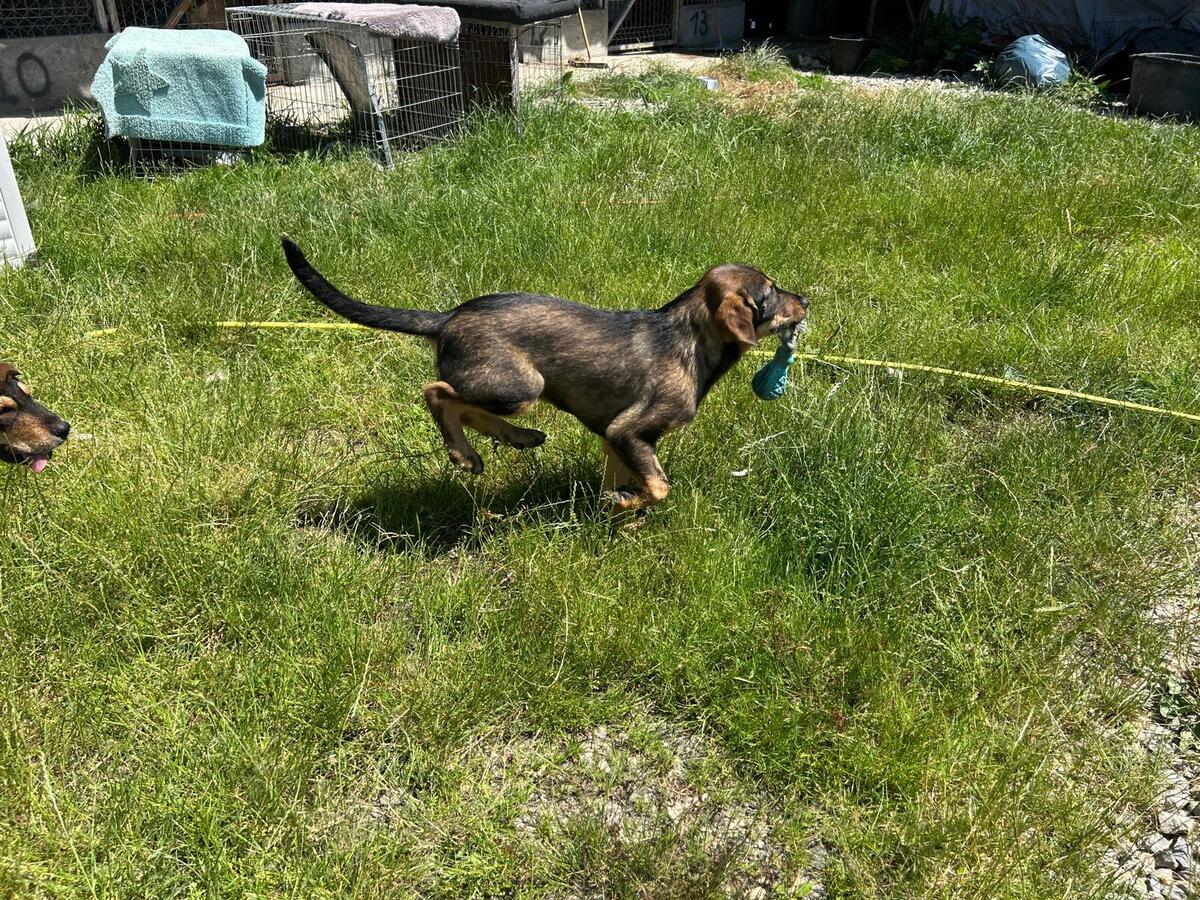 Adoption Leni