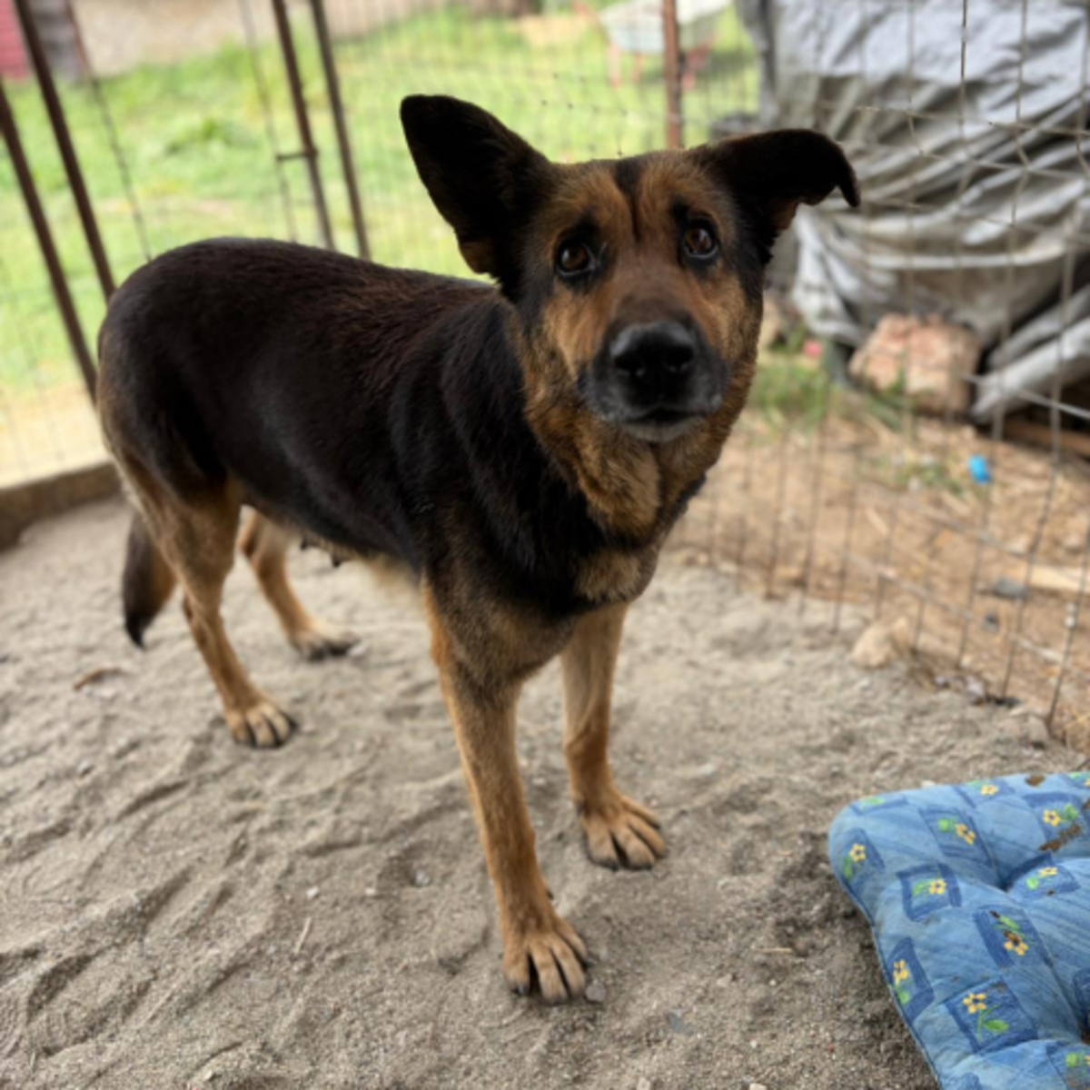 Adoption JANA