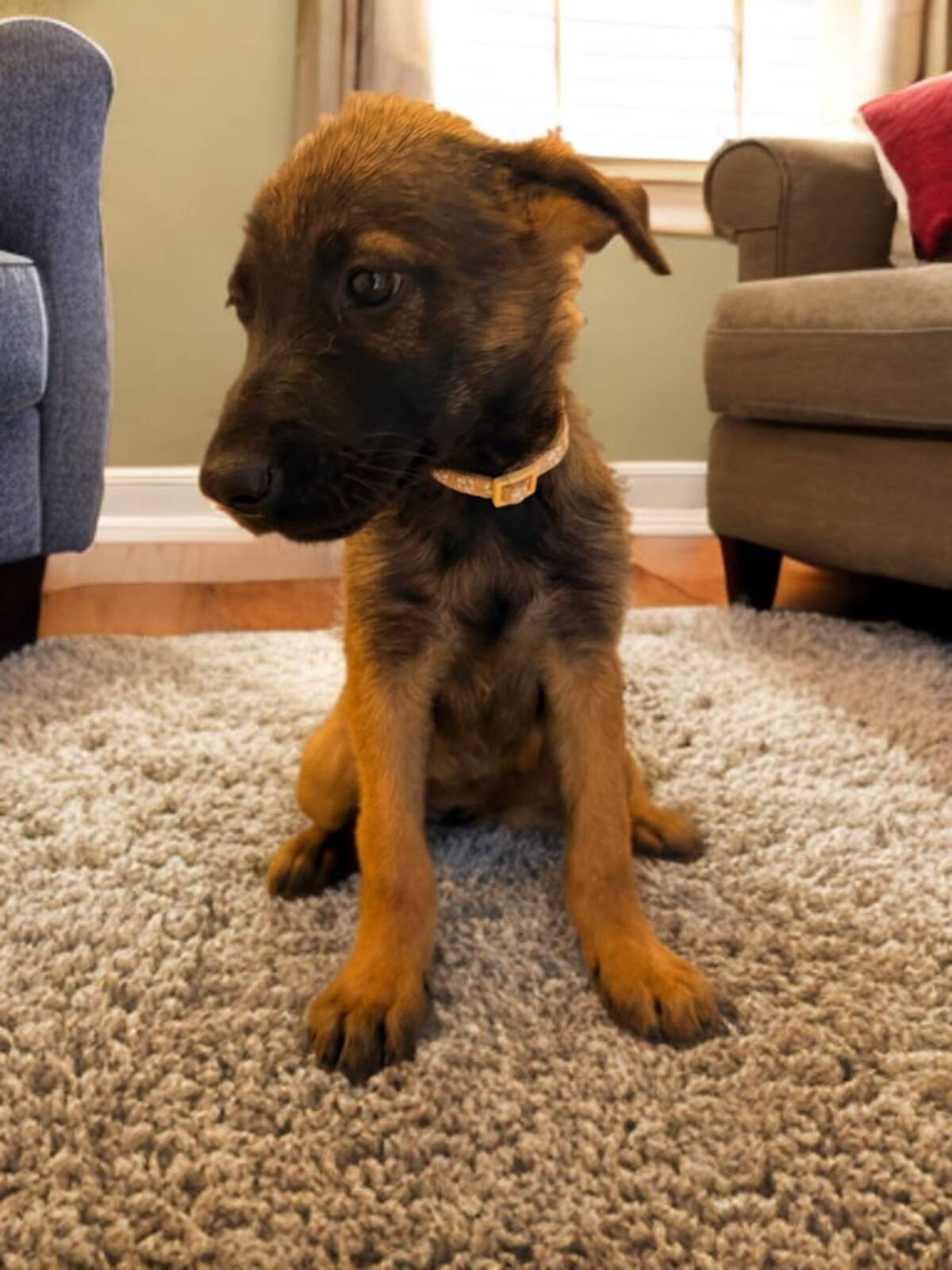 Adoption Yaska