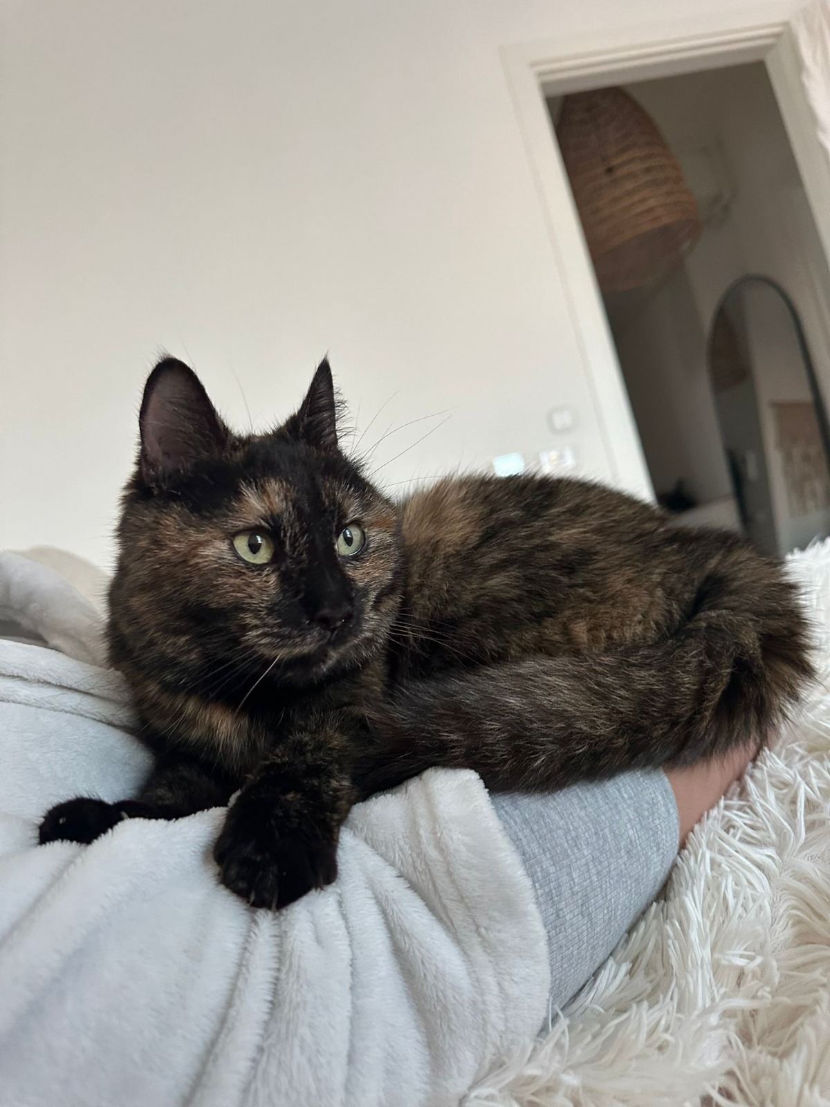 Adoption Hope