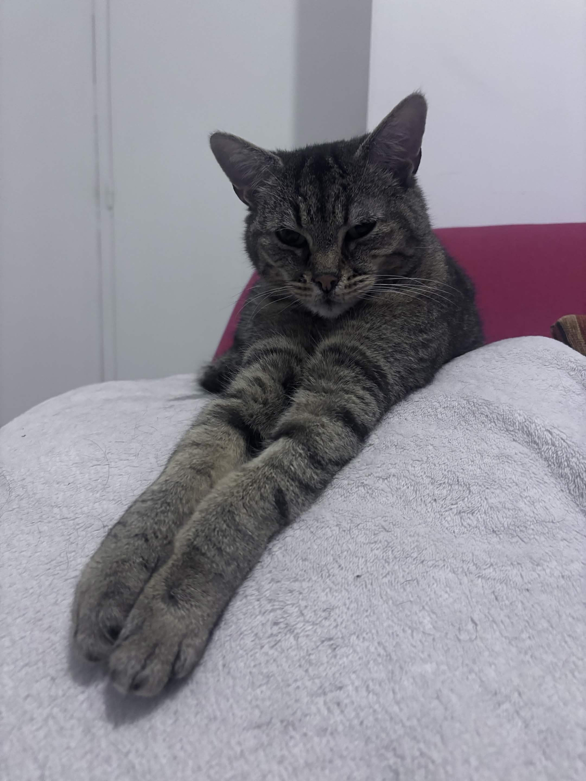 Adoption Yoda