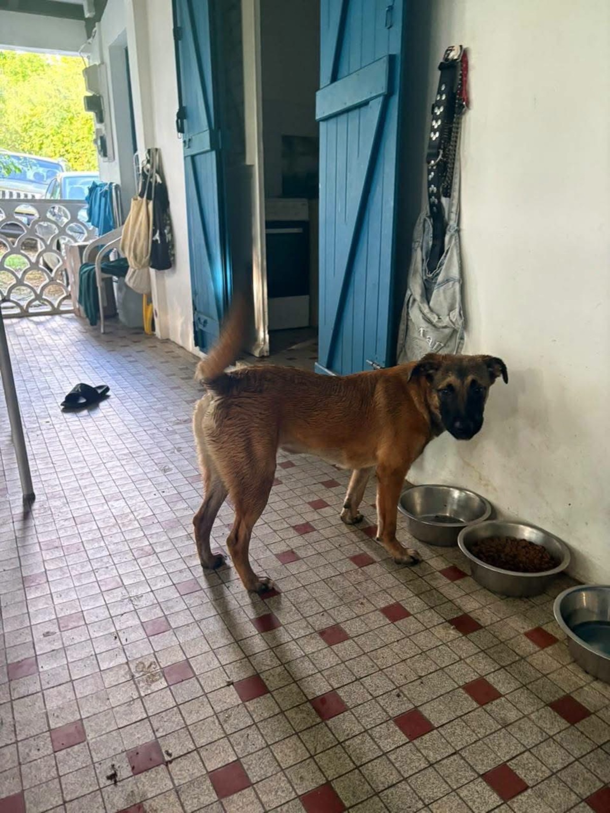 Adoption Soleya