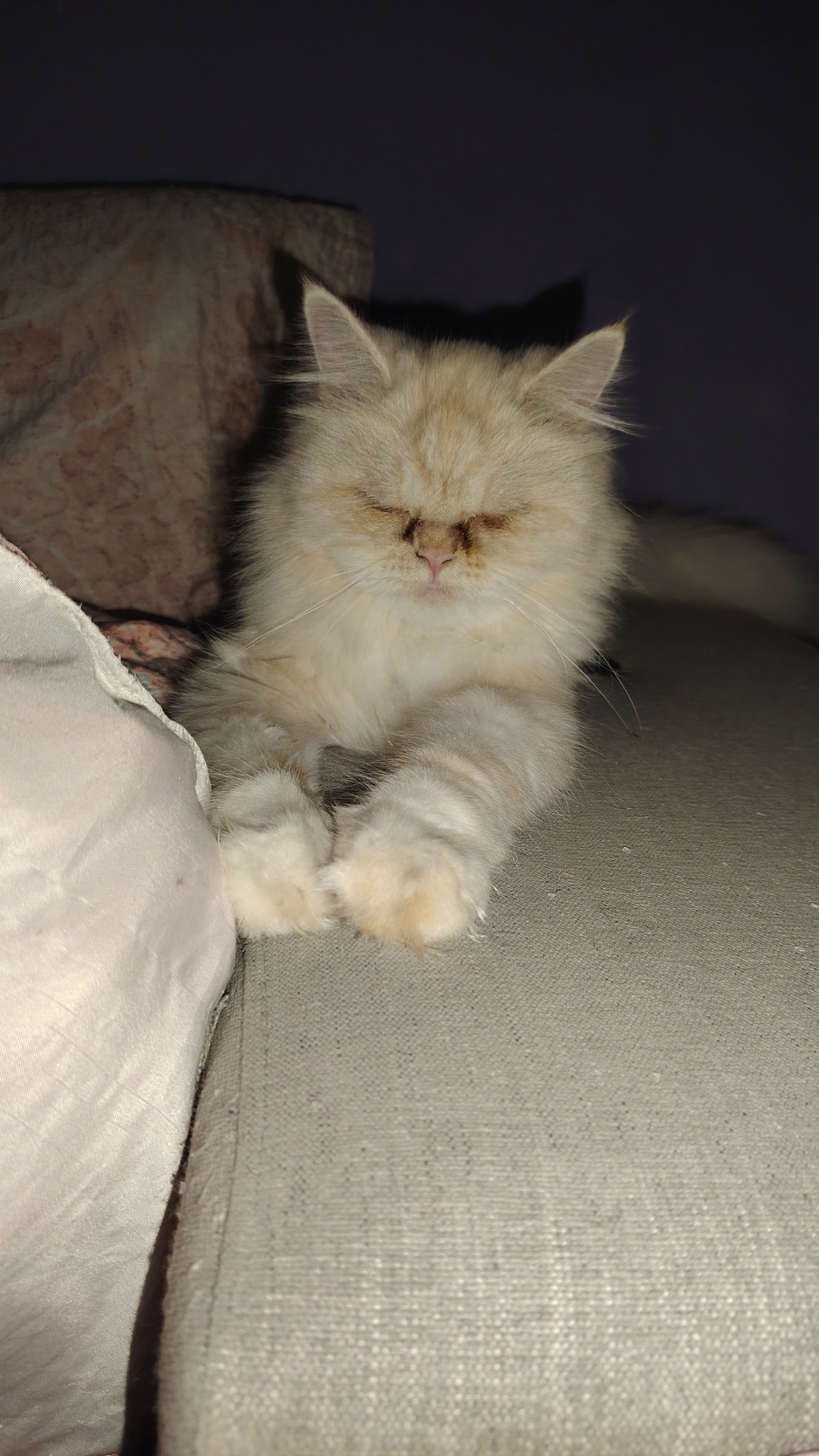 Adoption Lili