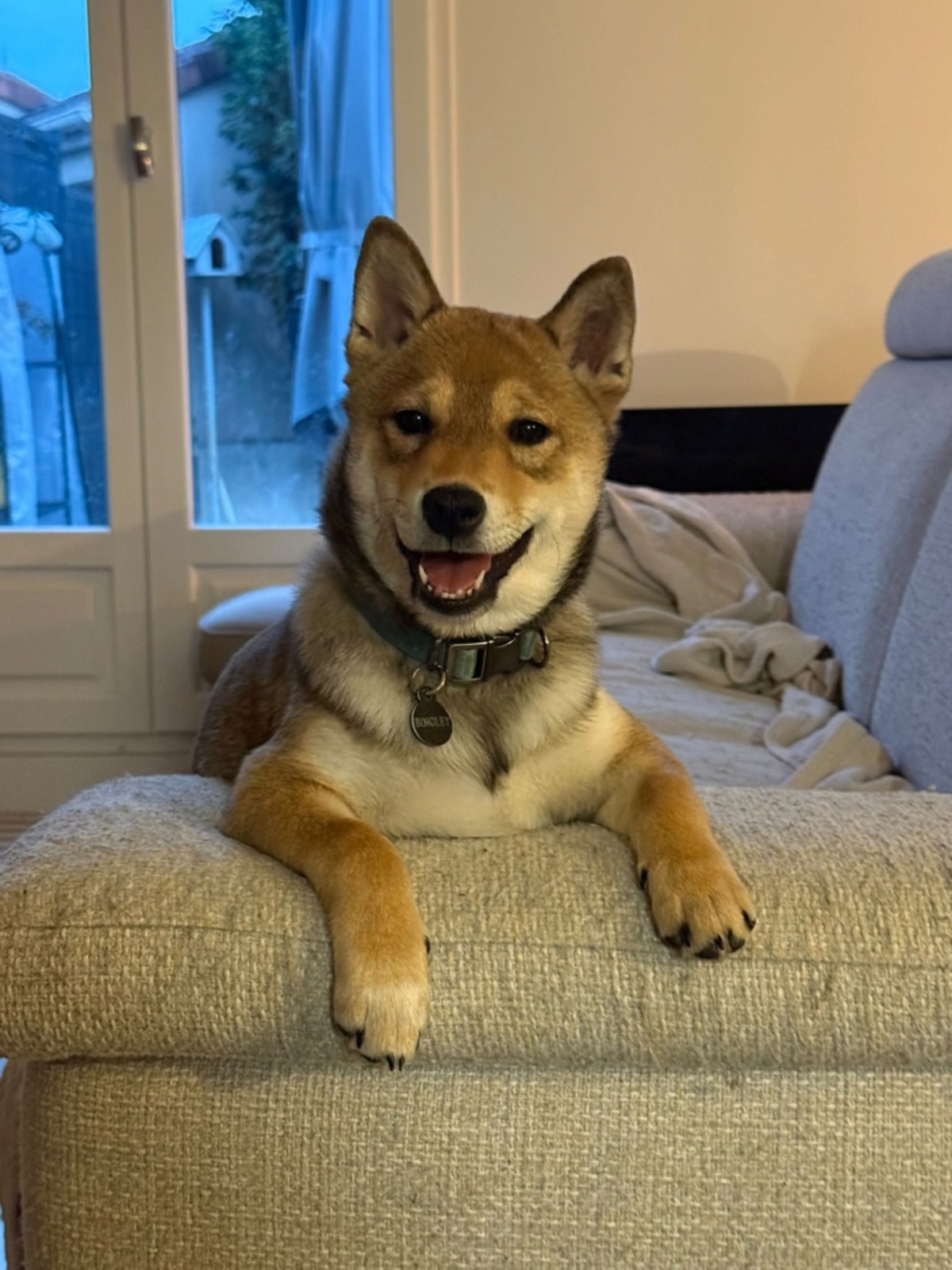 Adoption Bingley