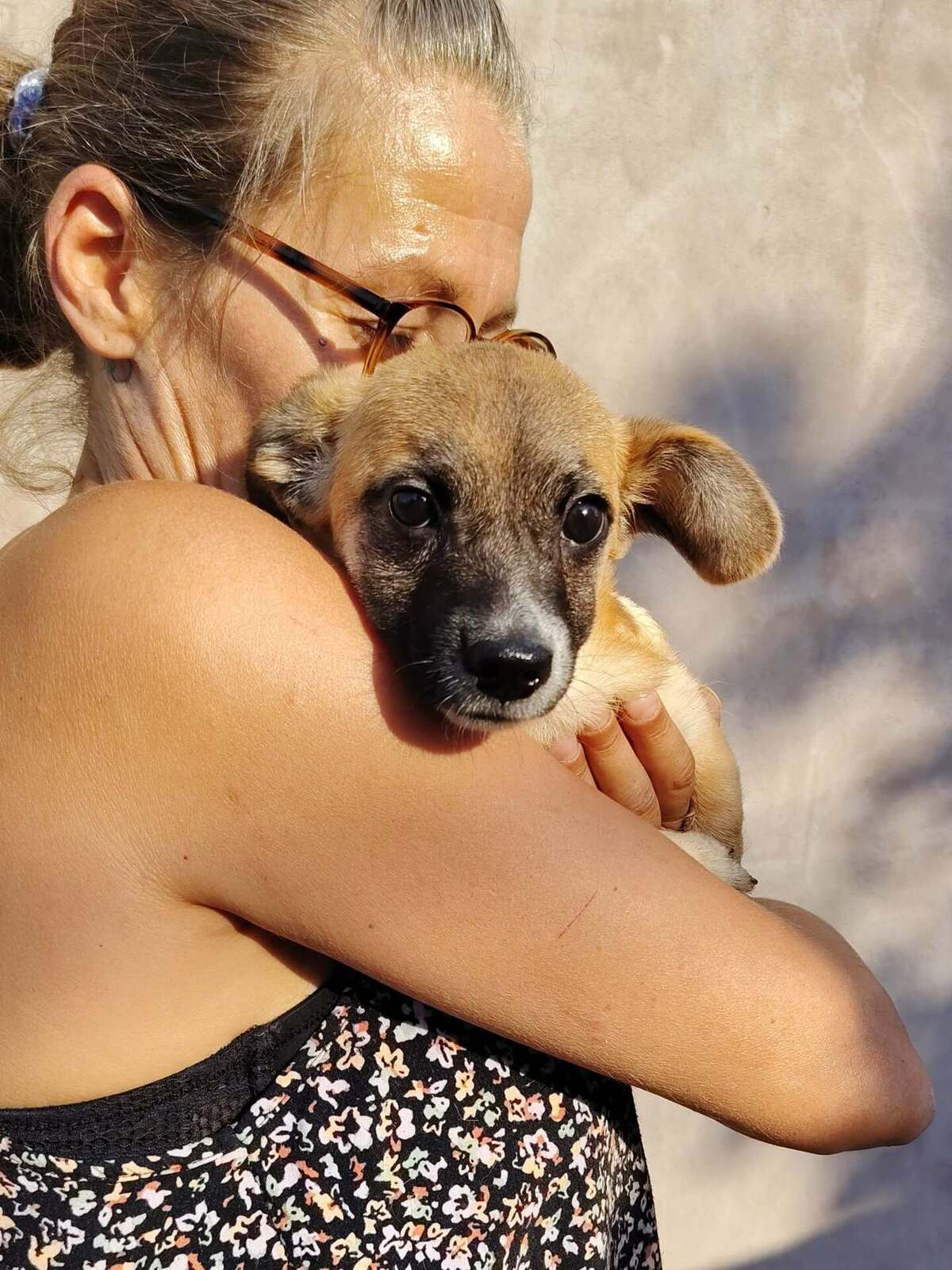 Adoption Soan