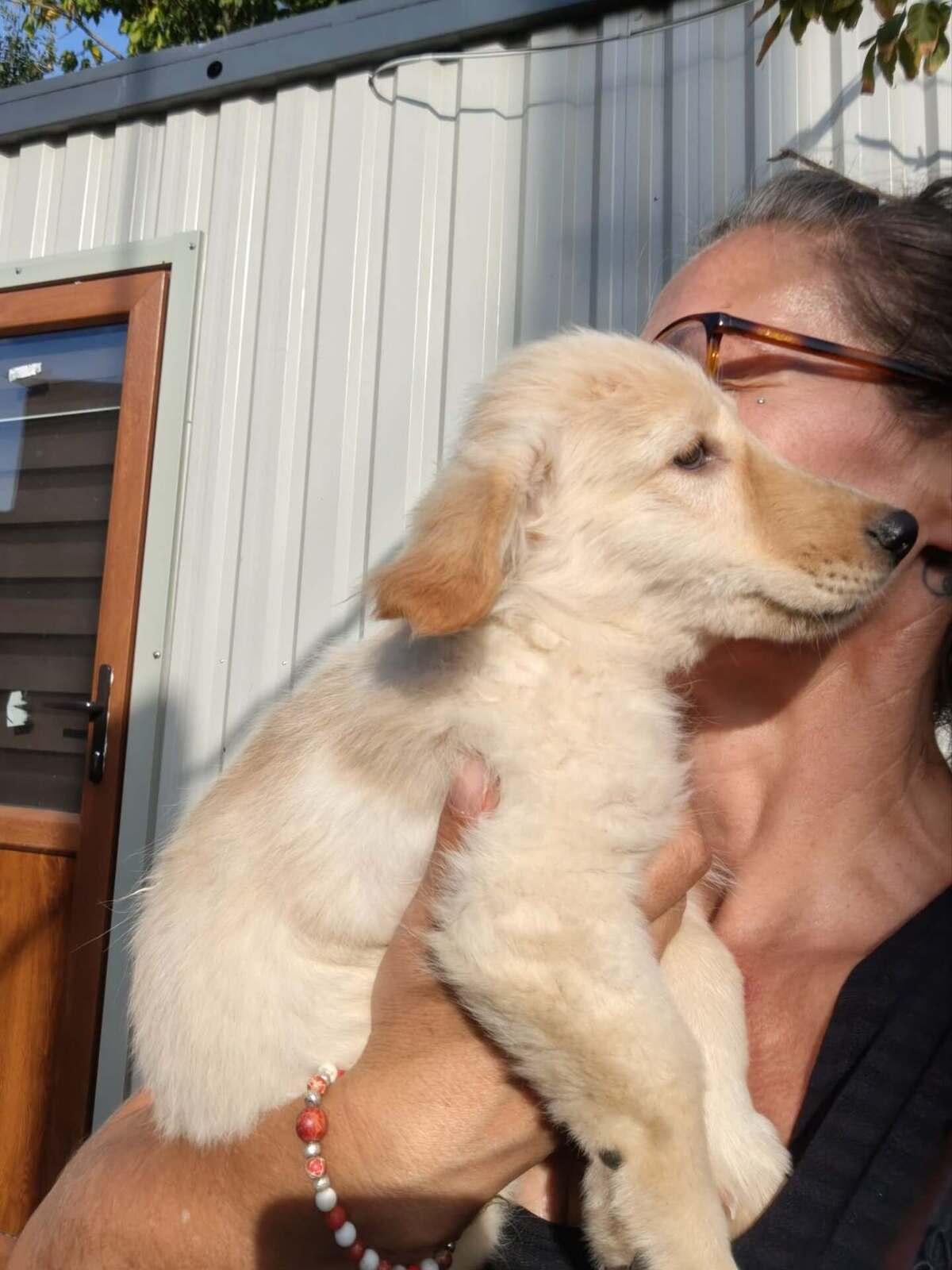 Adoption Sugar