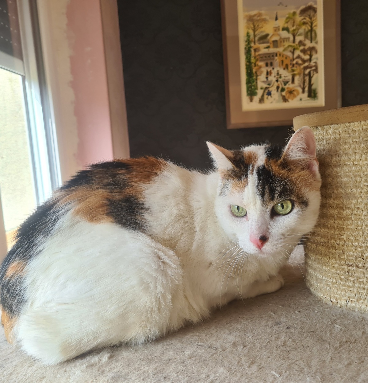 Adoption Astrid 