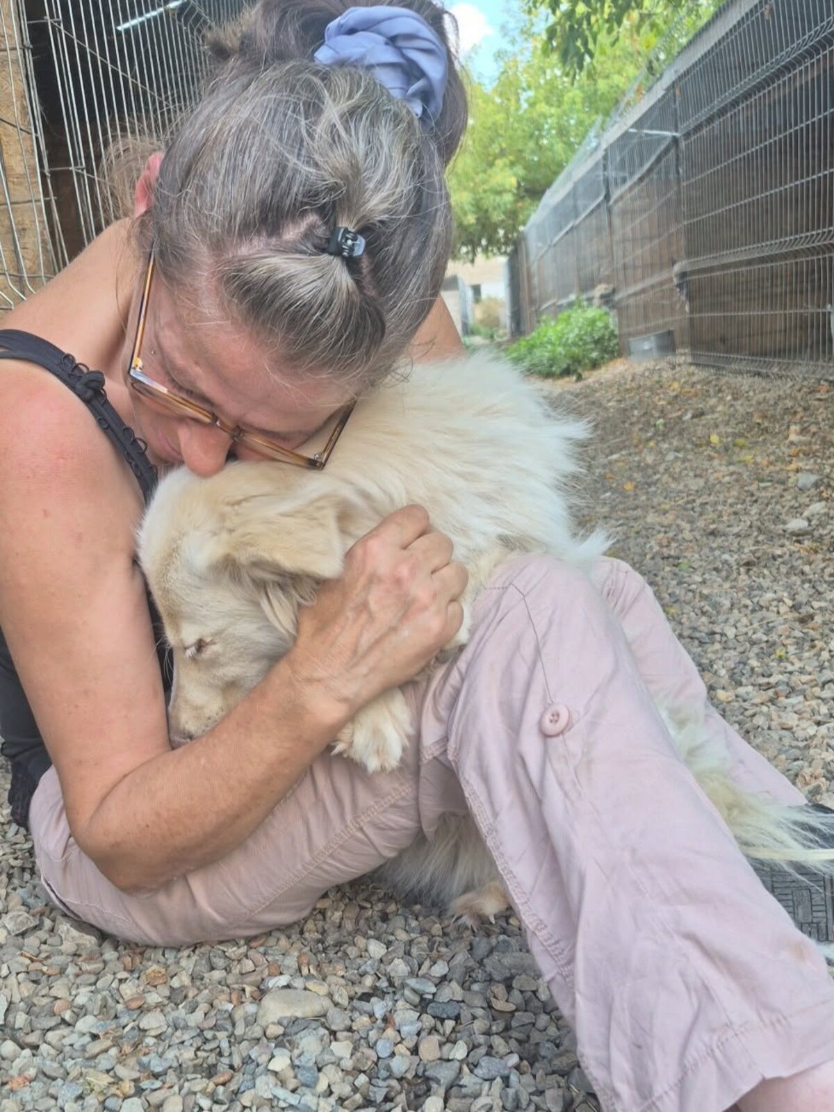Adoption Alba