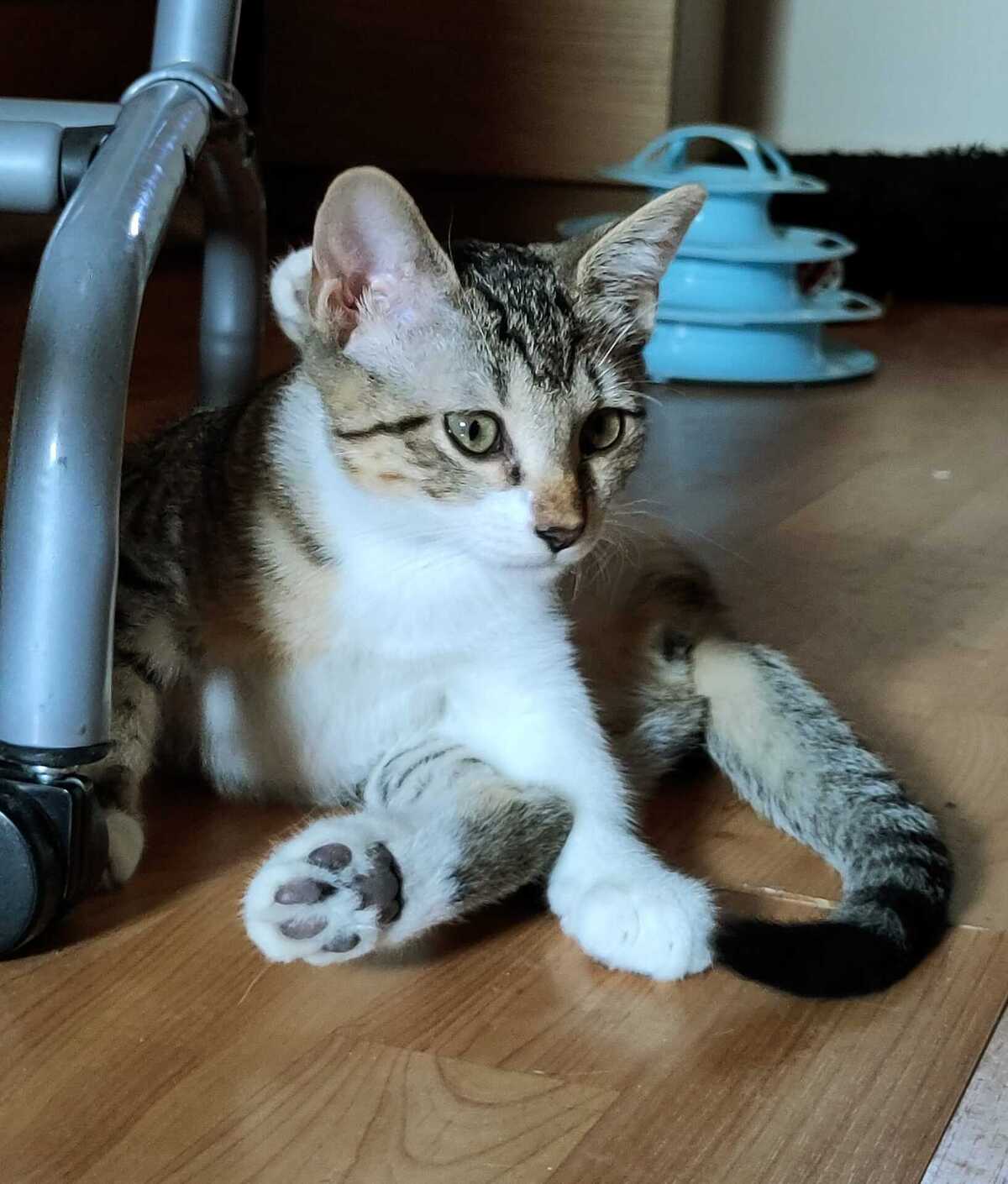 Adoption Marie