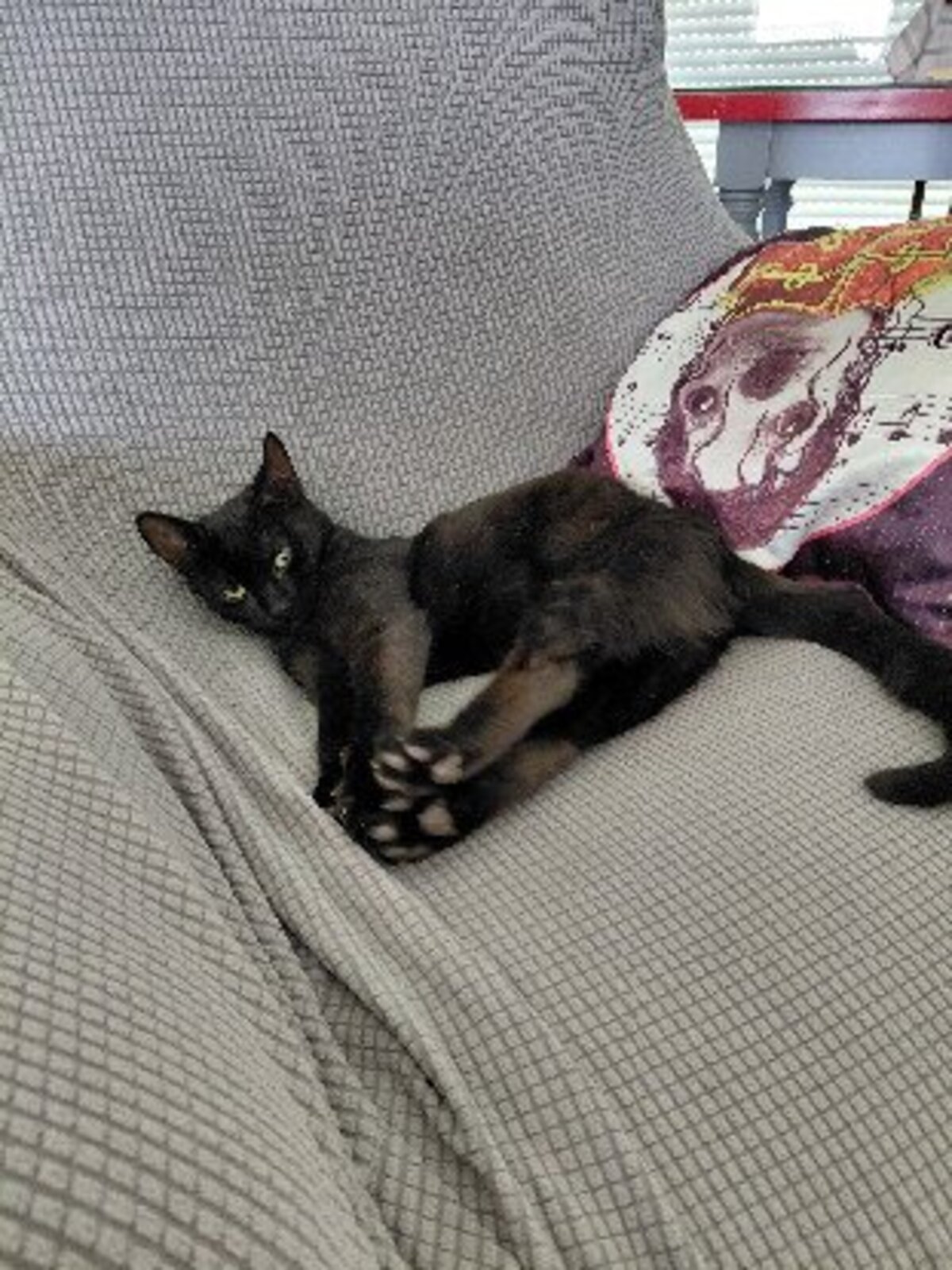 Adoption Altrie