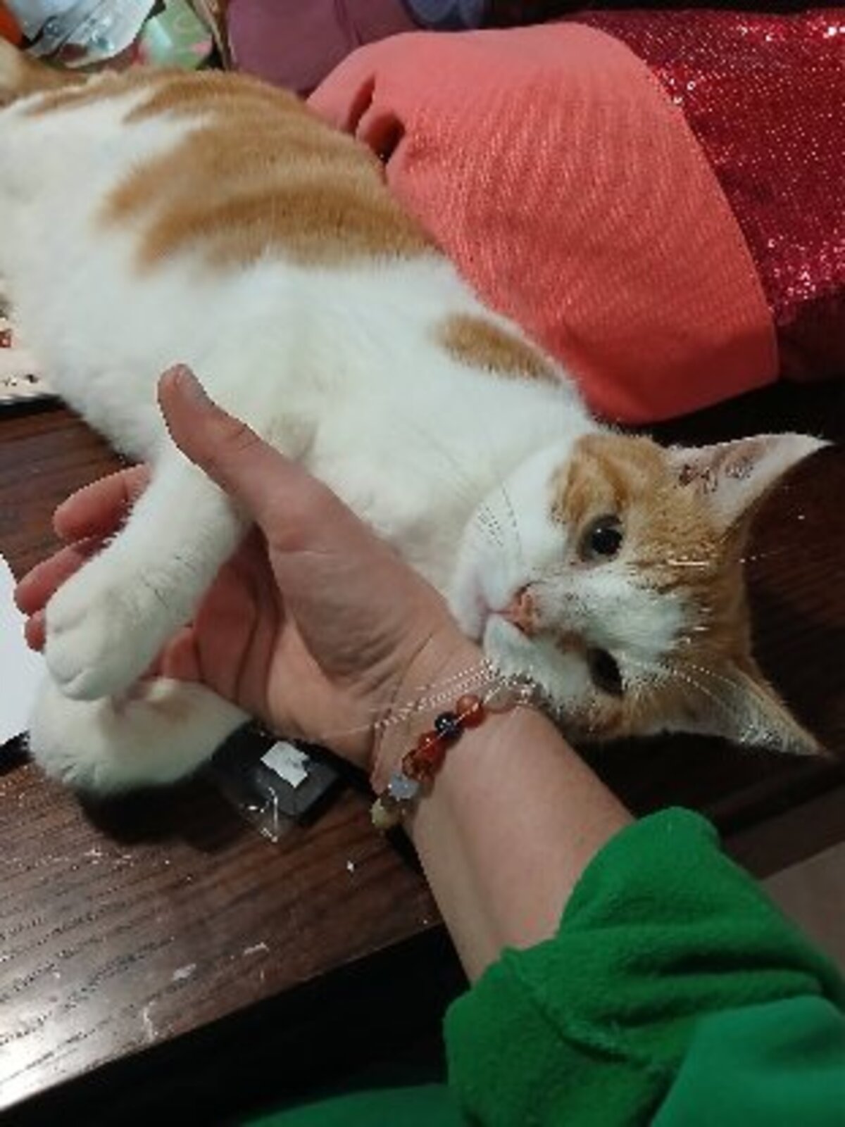 Adoption Ascott