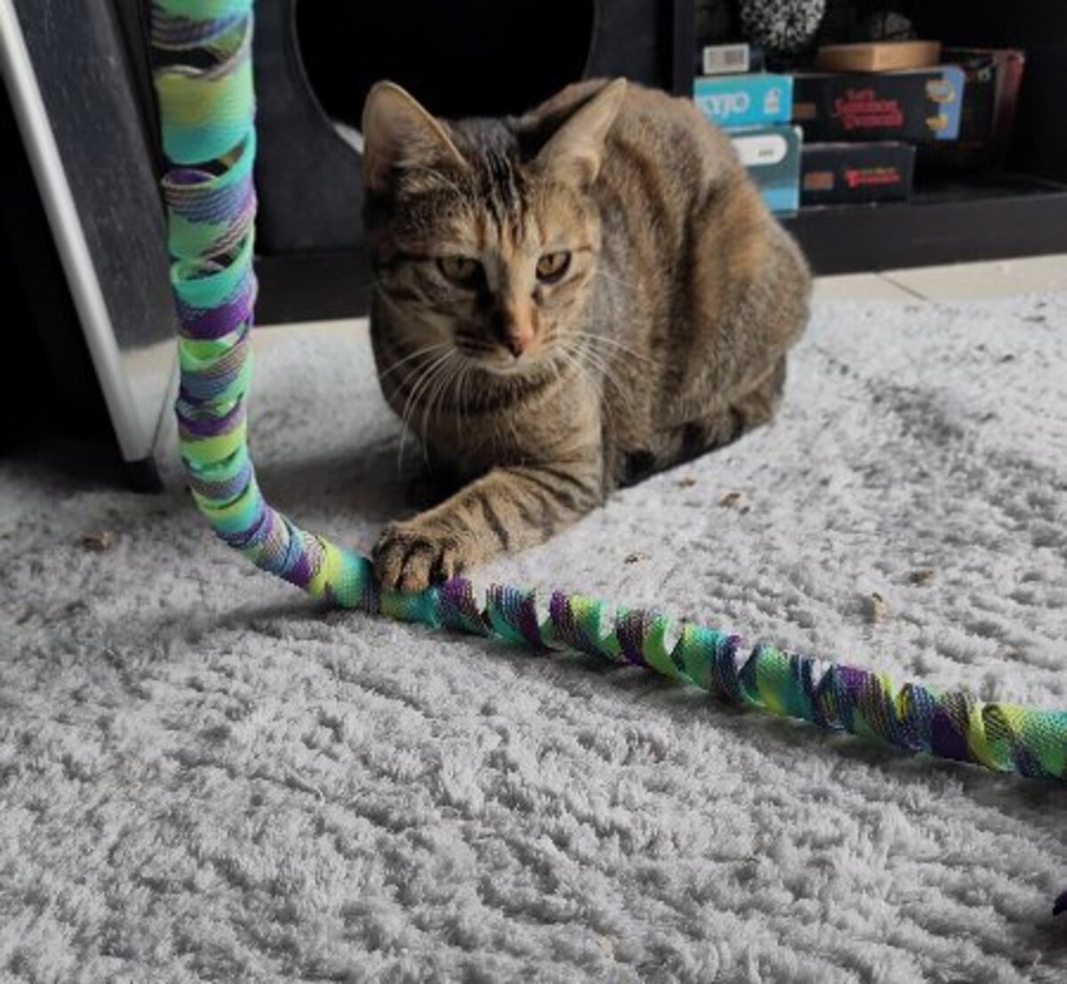 Adoption Athéna