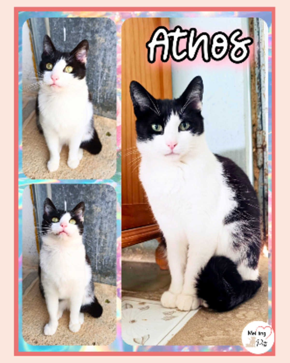 Adoption Athos