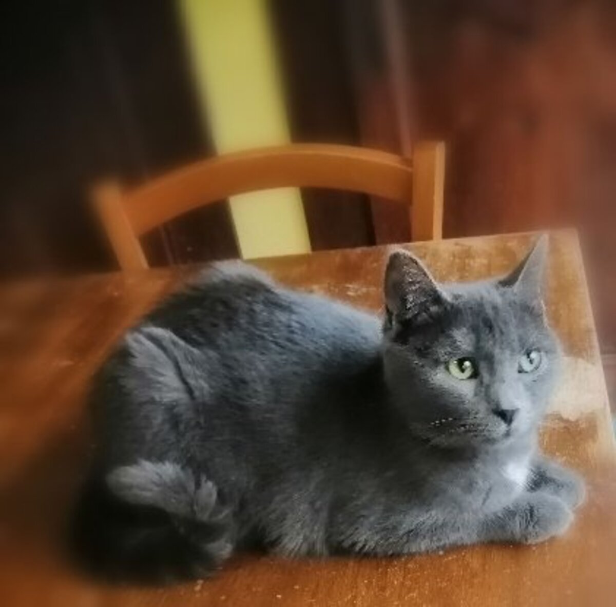 Adoption Aubade