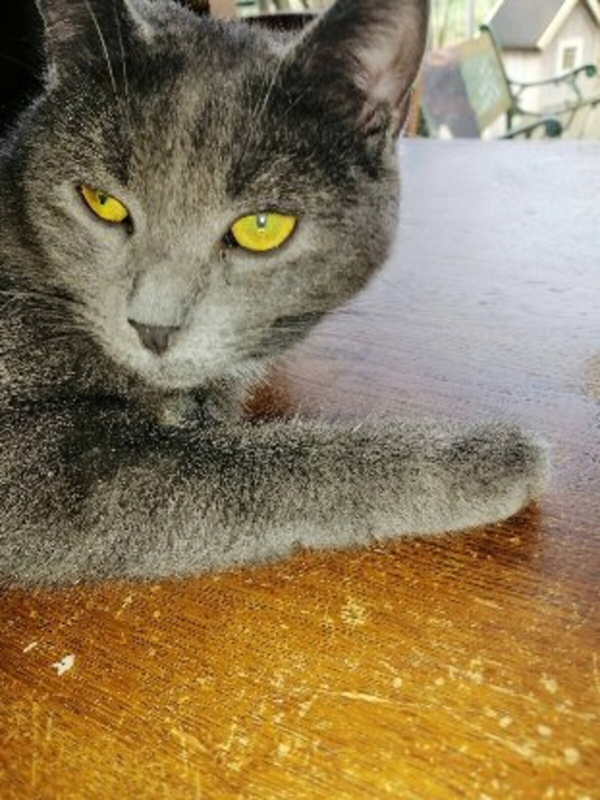 Adoption Aubade
