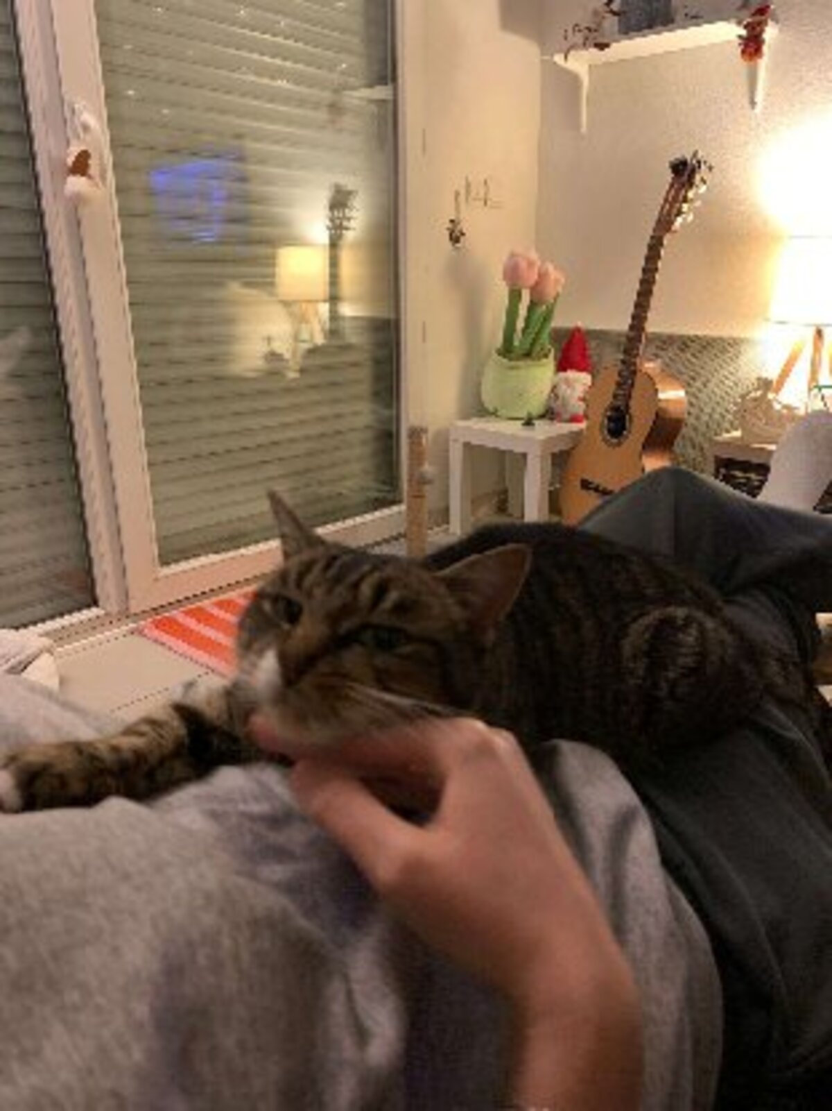 Adoption Aya