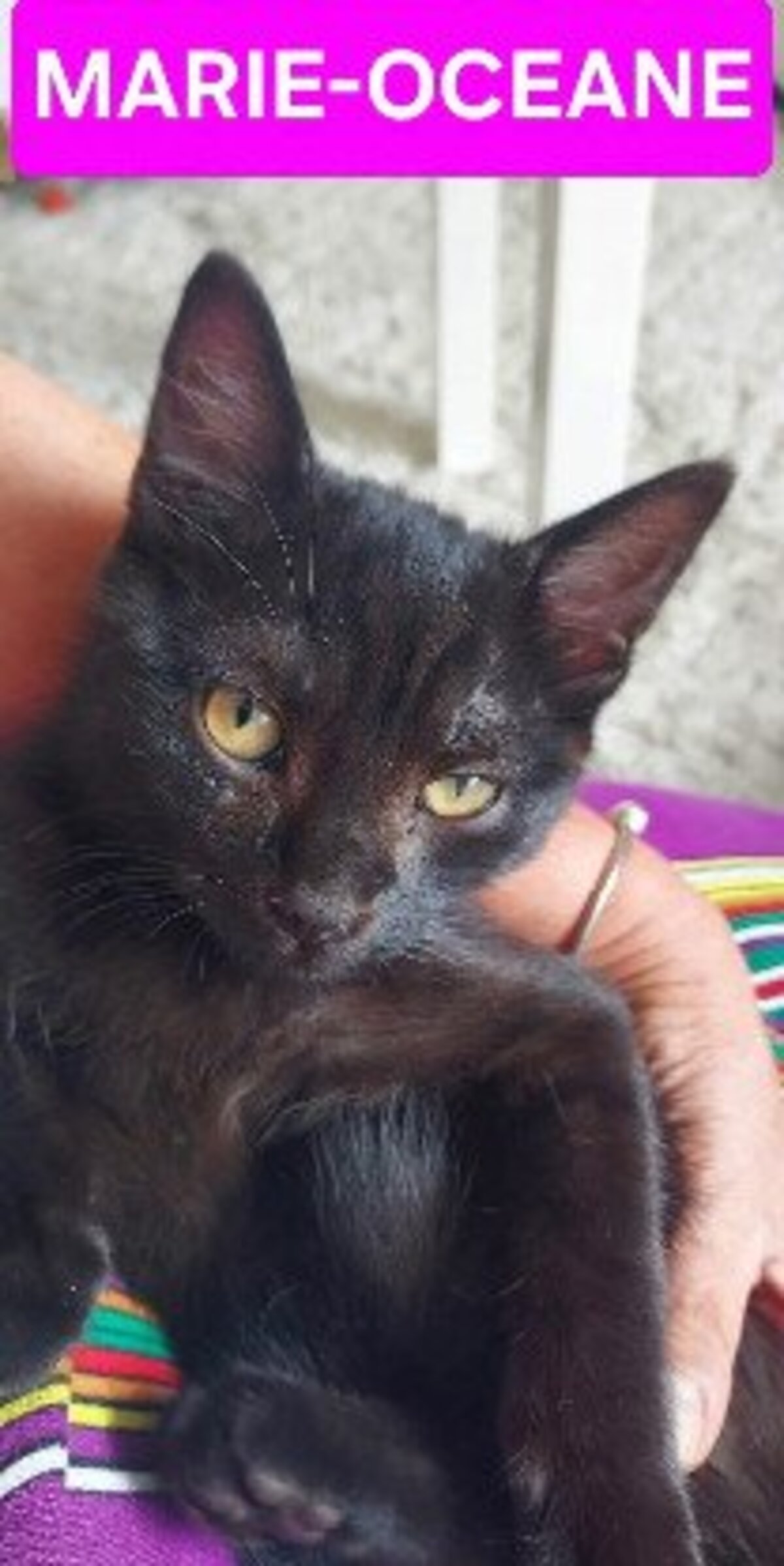 Adoption Betty