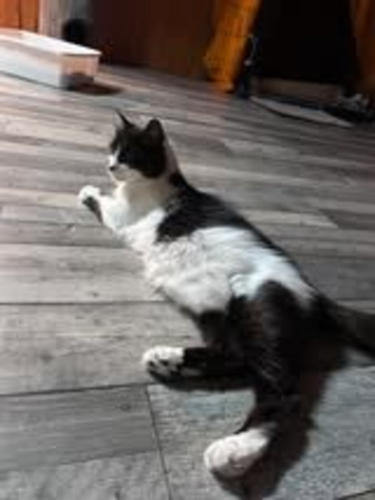 Adoption Billiejean