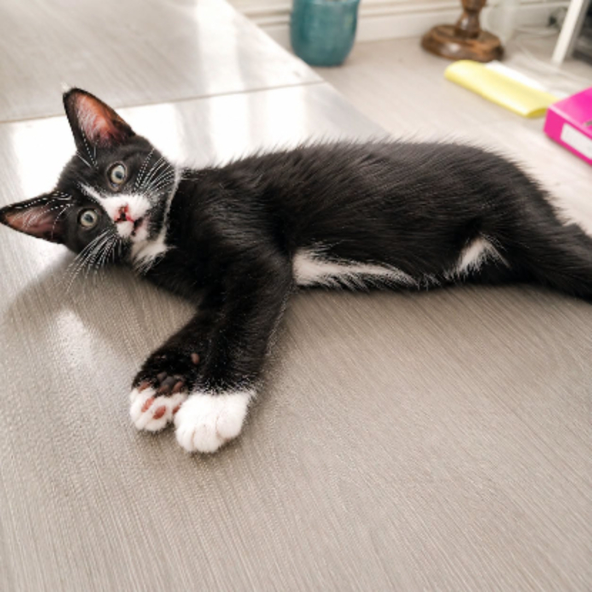 Adoption Bim