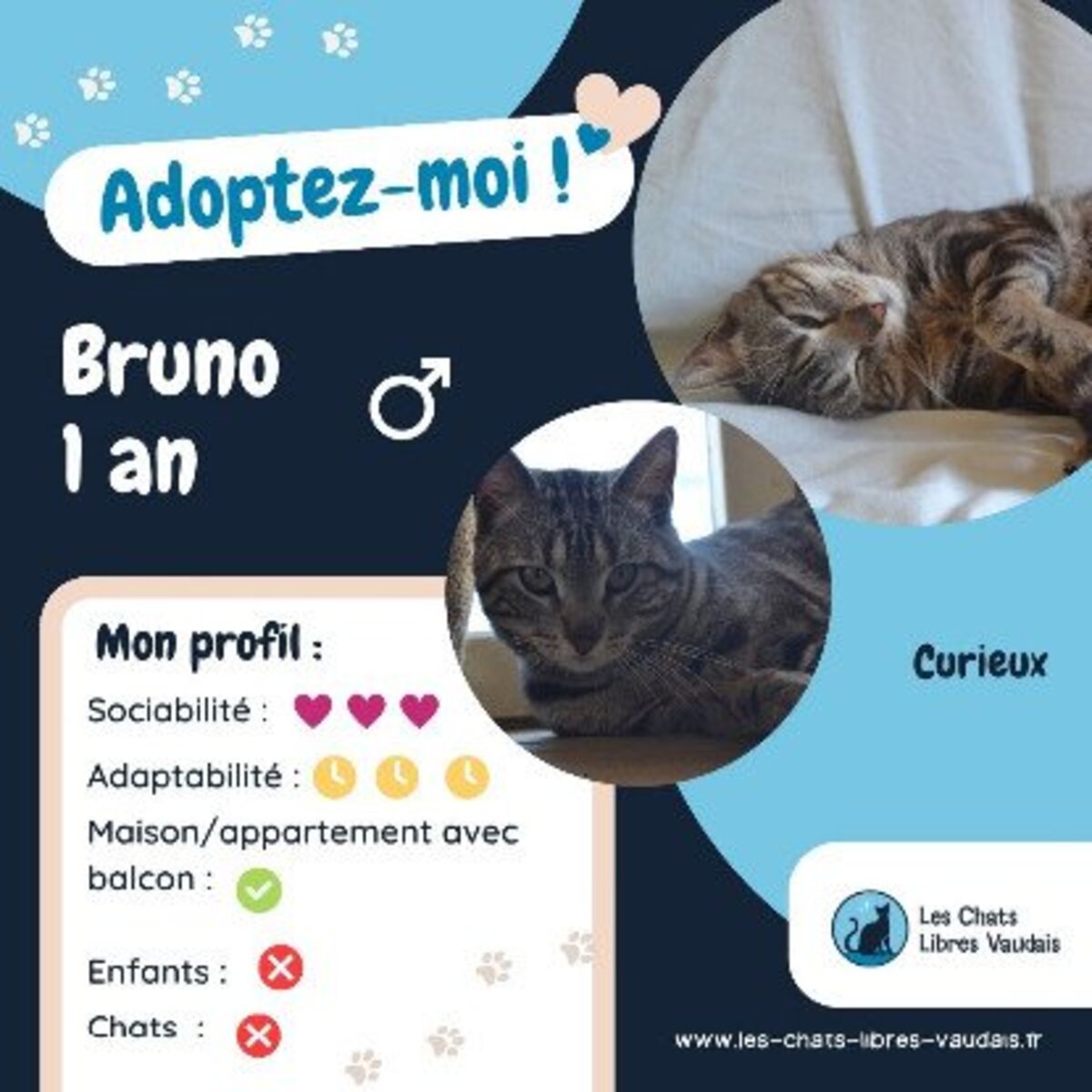 Adoption Bruno